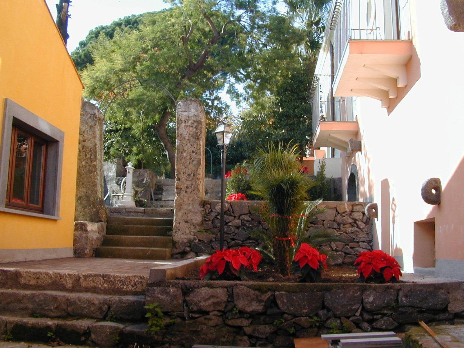 IL Ciliegio Dell 'Etna