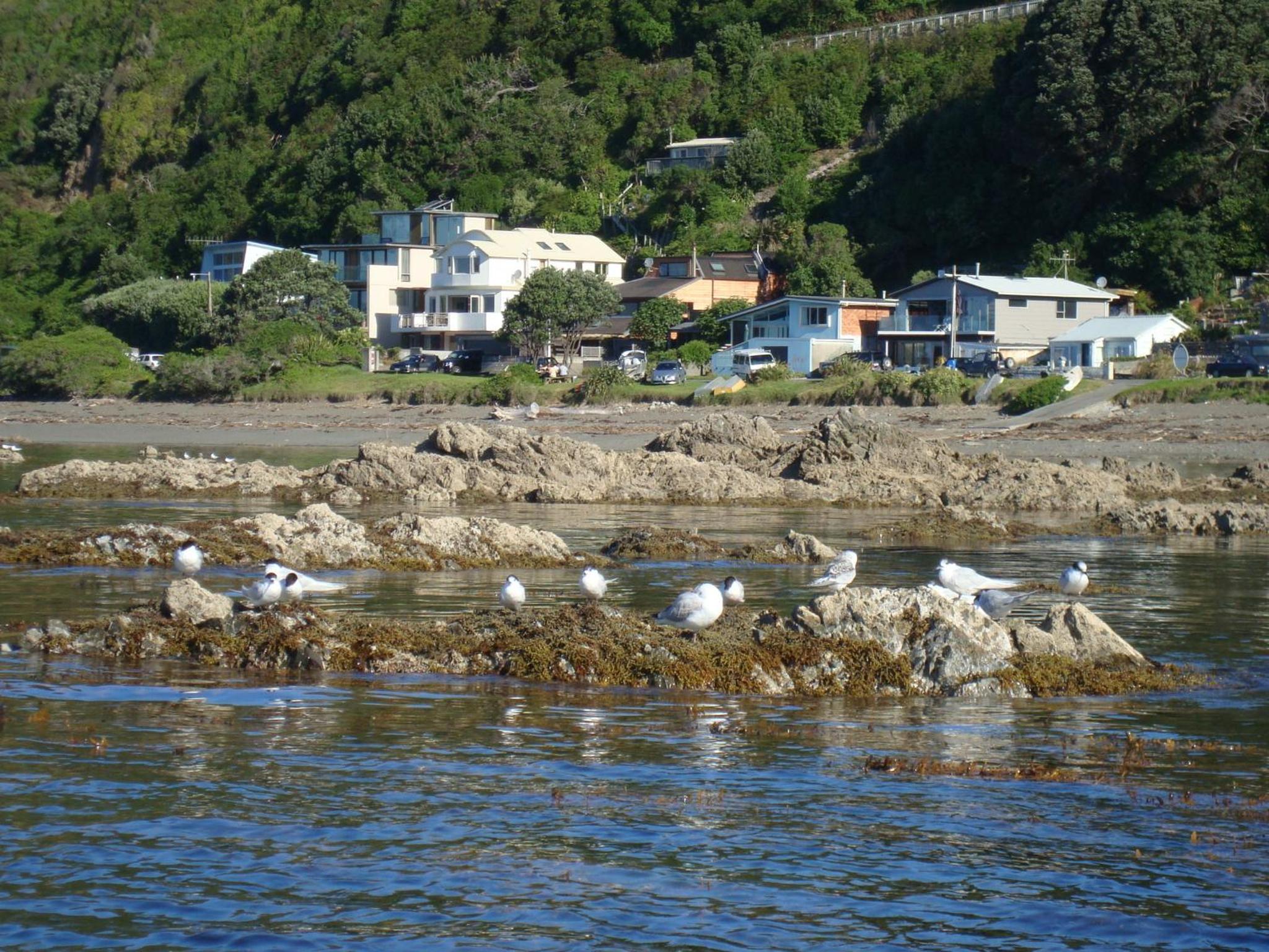 Kapiti Waves Bed & Breakfast