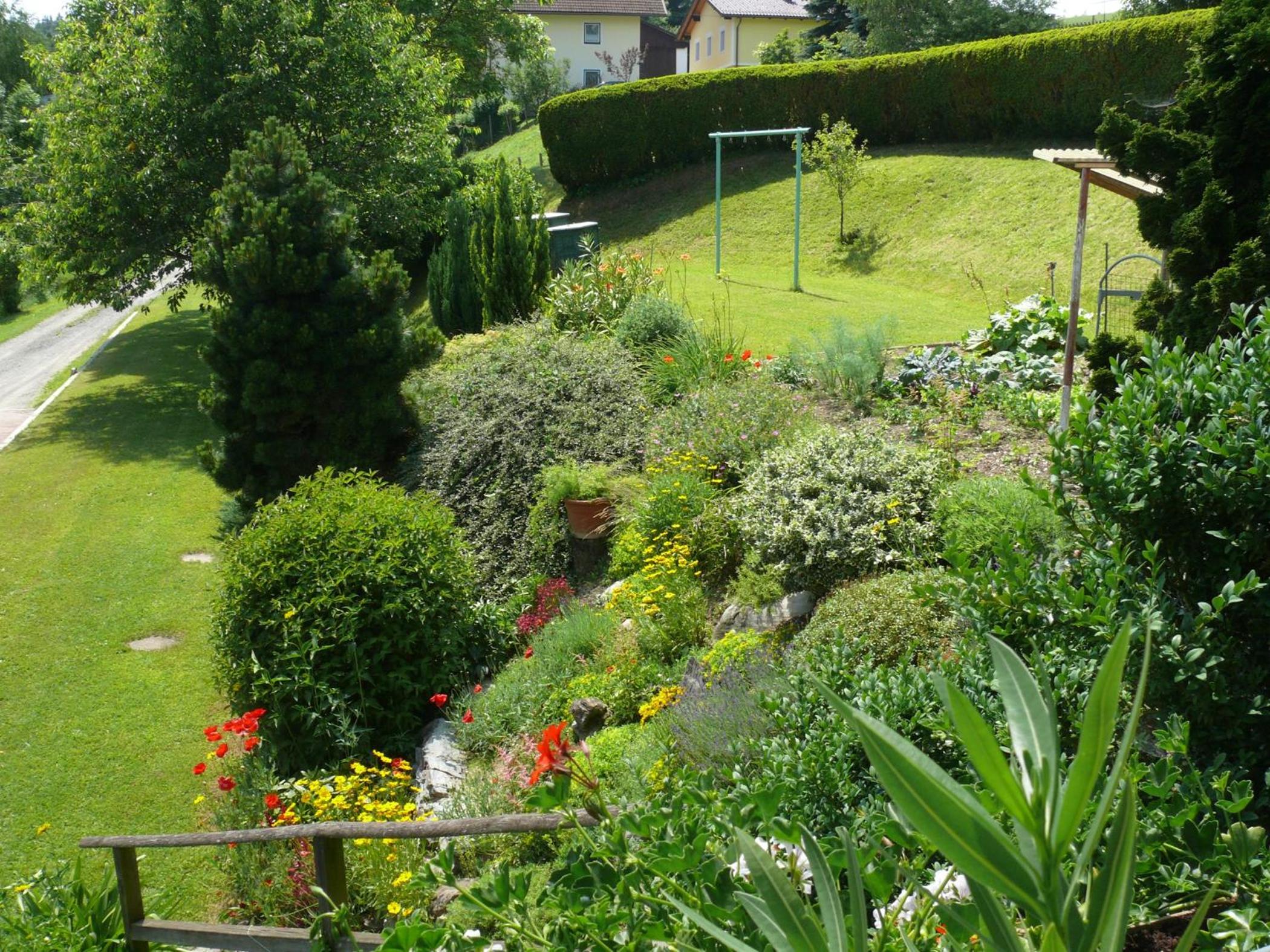 Photo 44