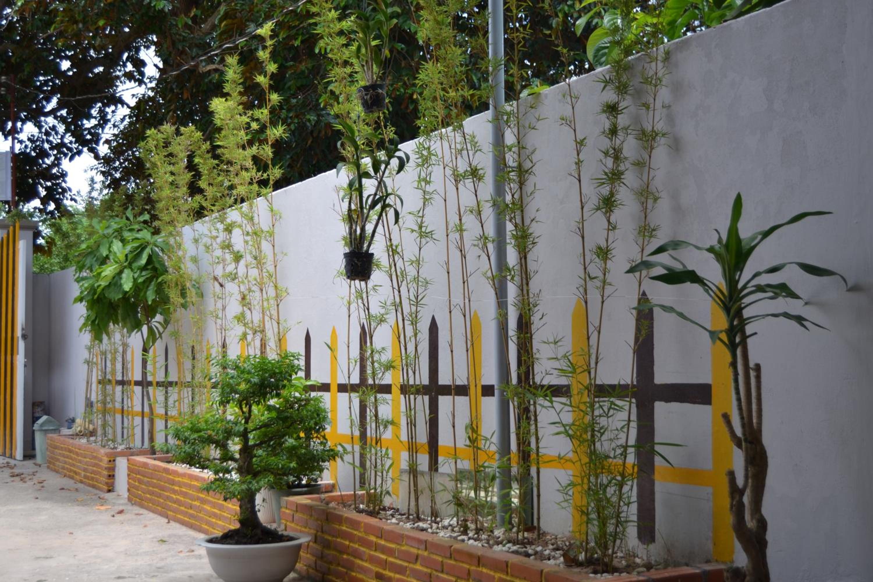 Binh An Backpacker Guesthouse