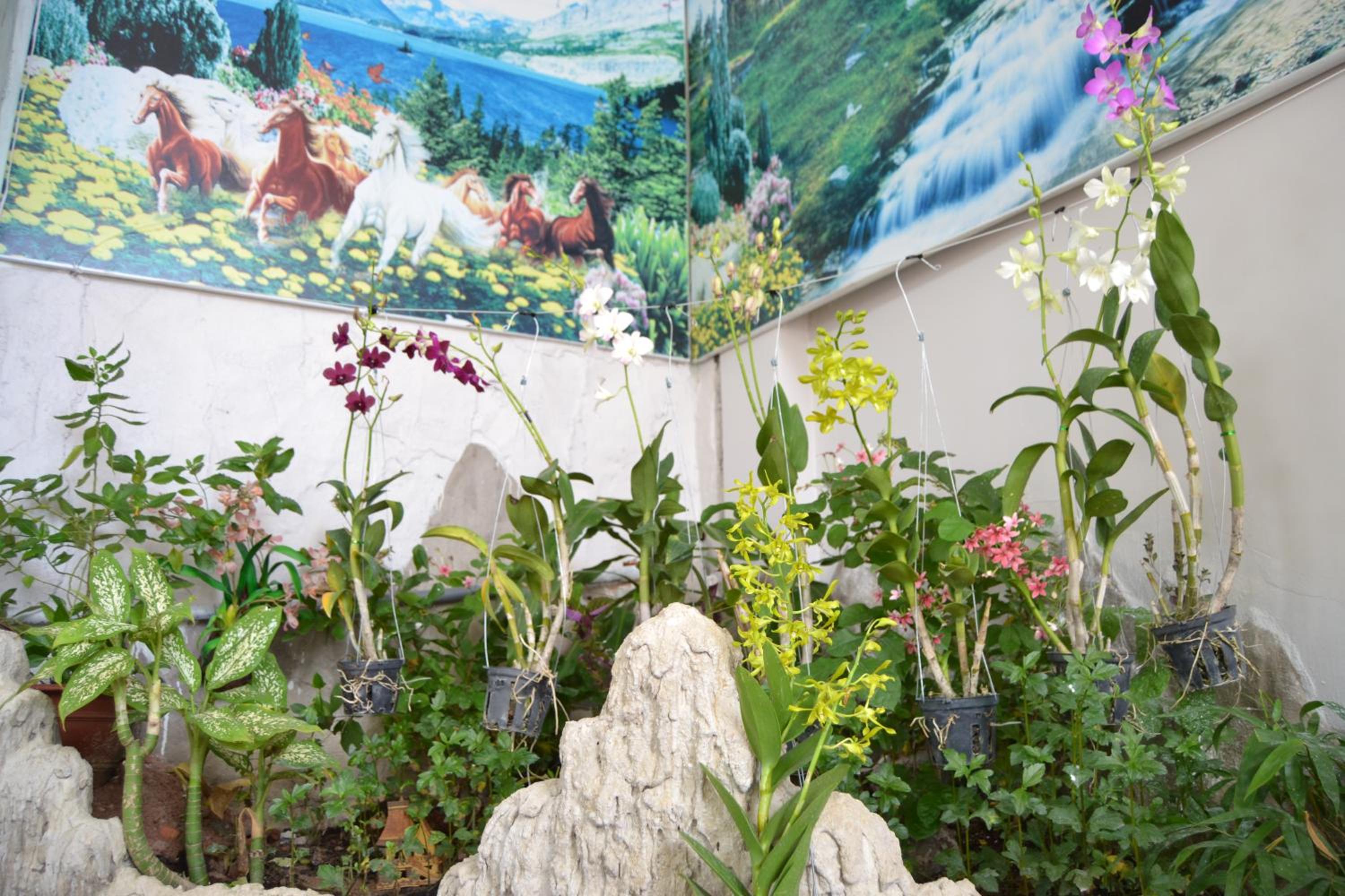 Binh An Backpacker Guesthouse