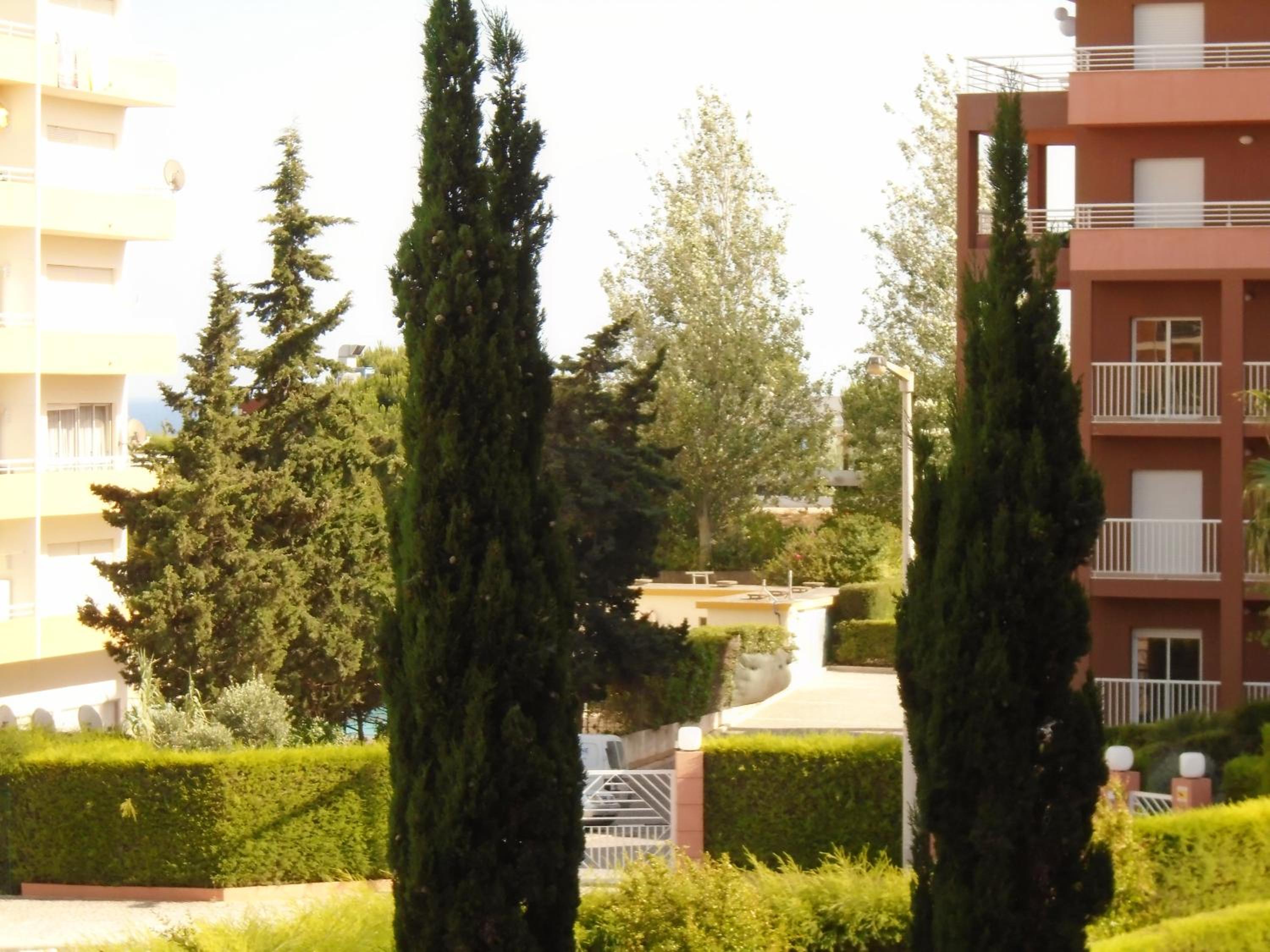 Photo 31