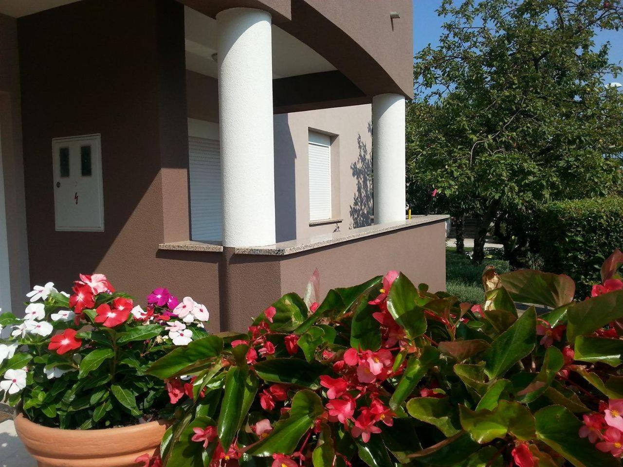 Apartments Ema view 2