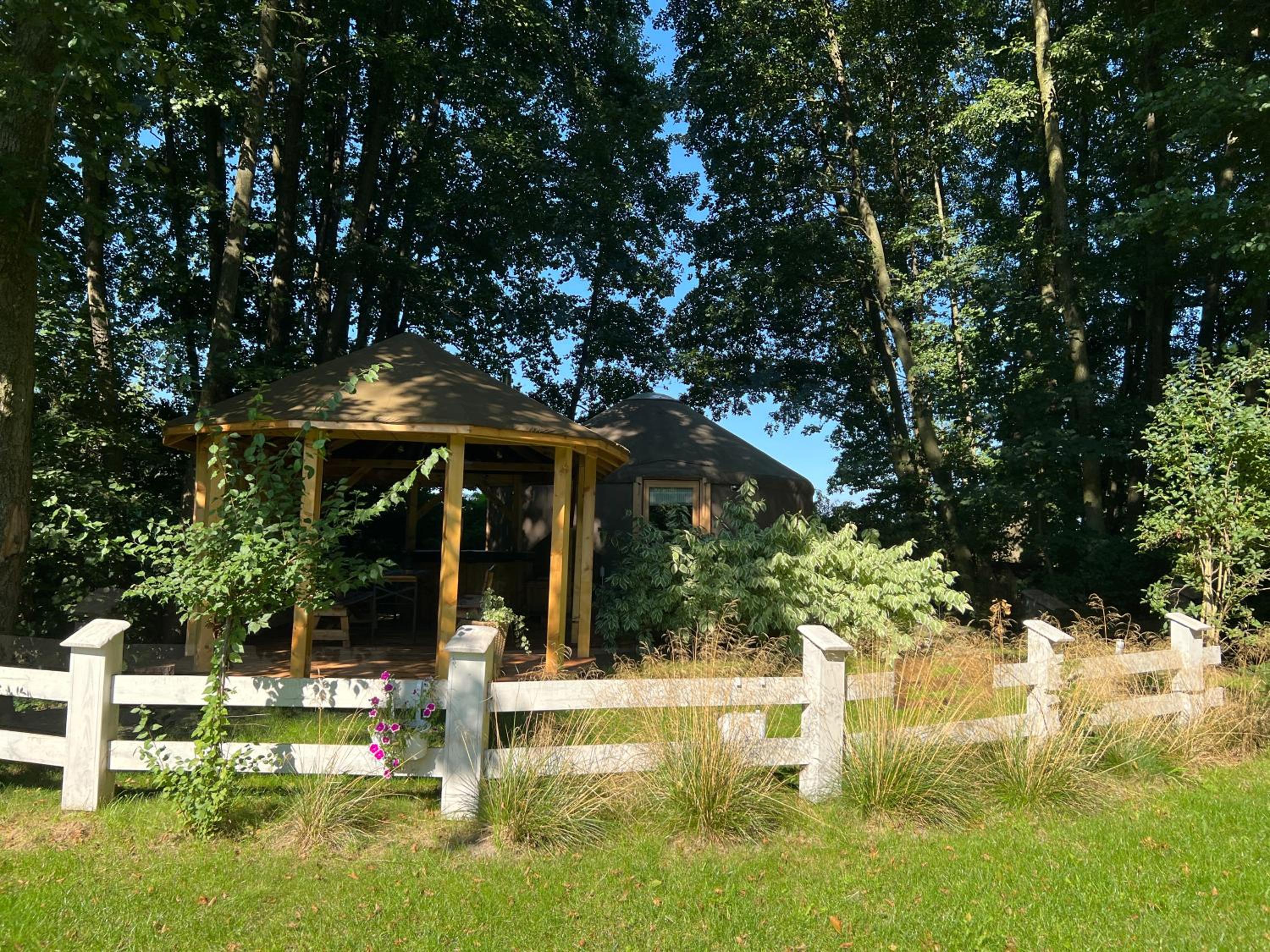 FORGLAMP, photo 63