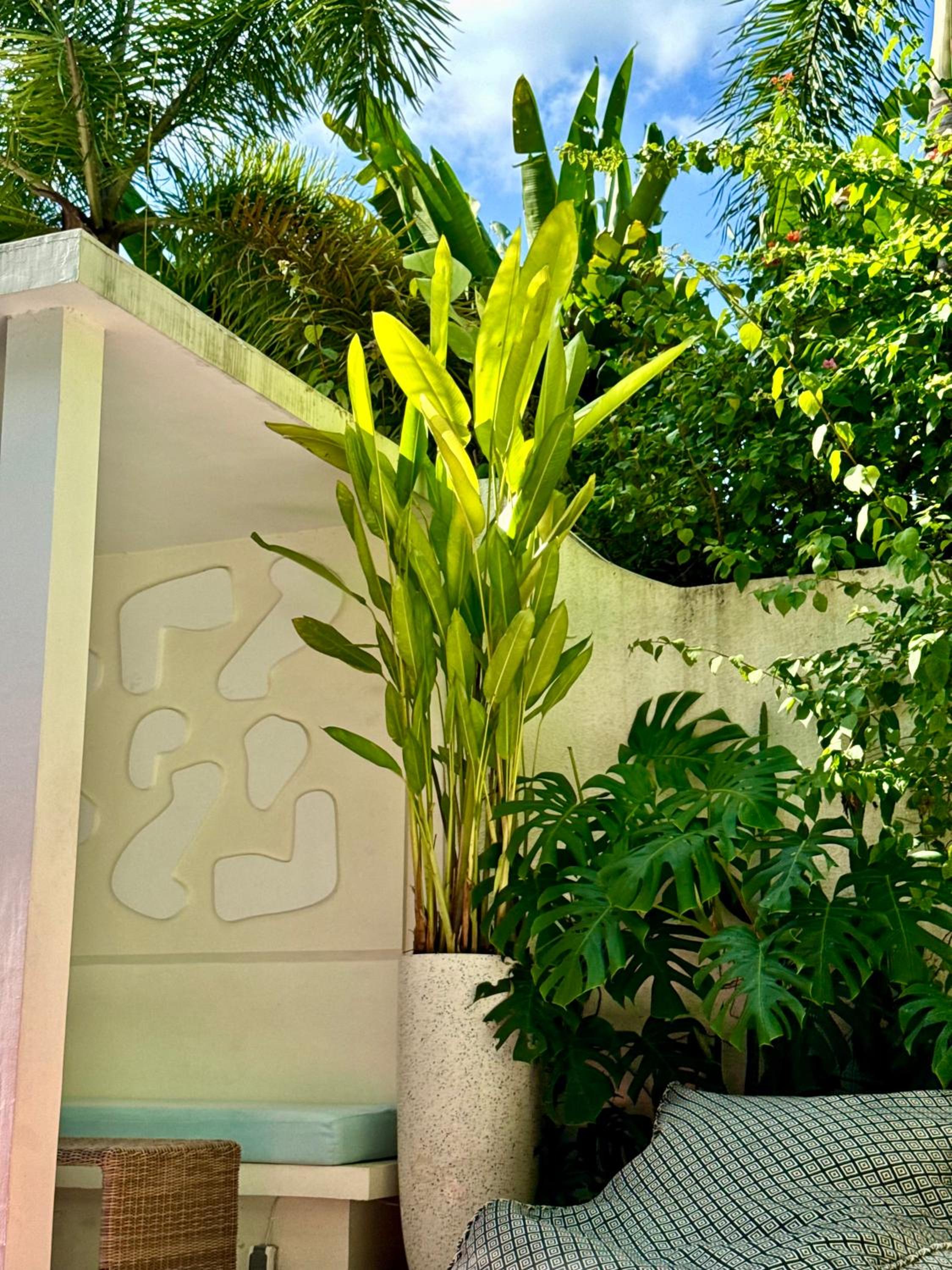 Villa MARIE Bali - Luxury 2BR Canggu Private Pool