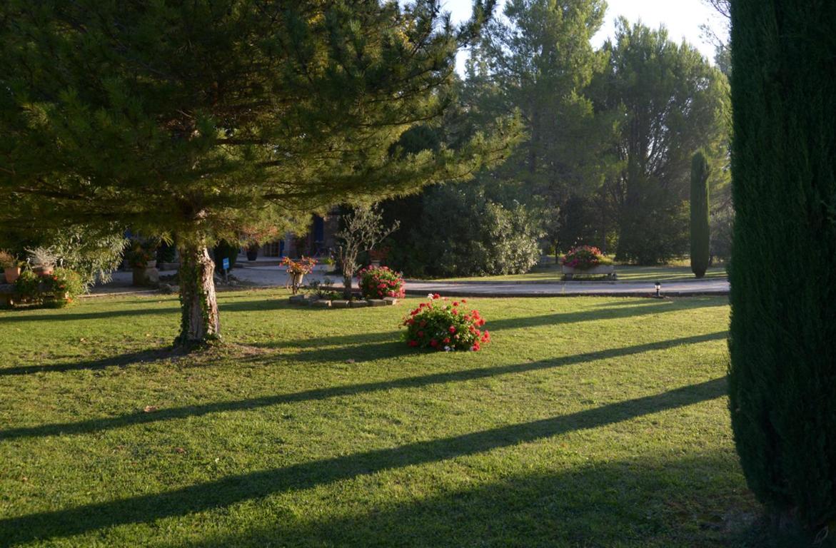 Photo 20