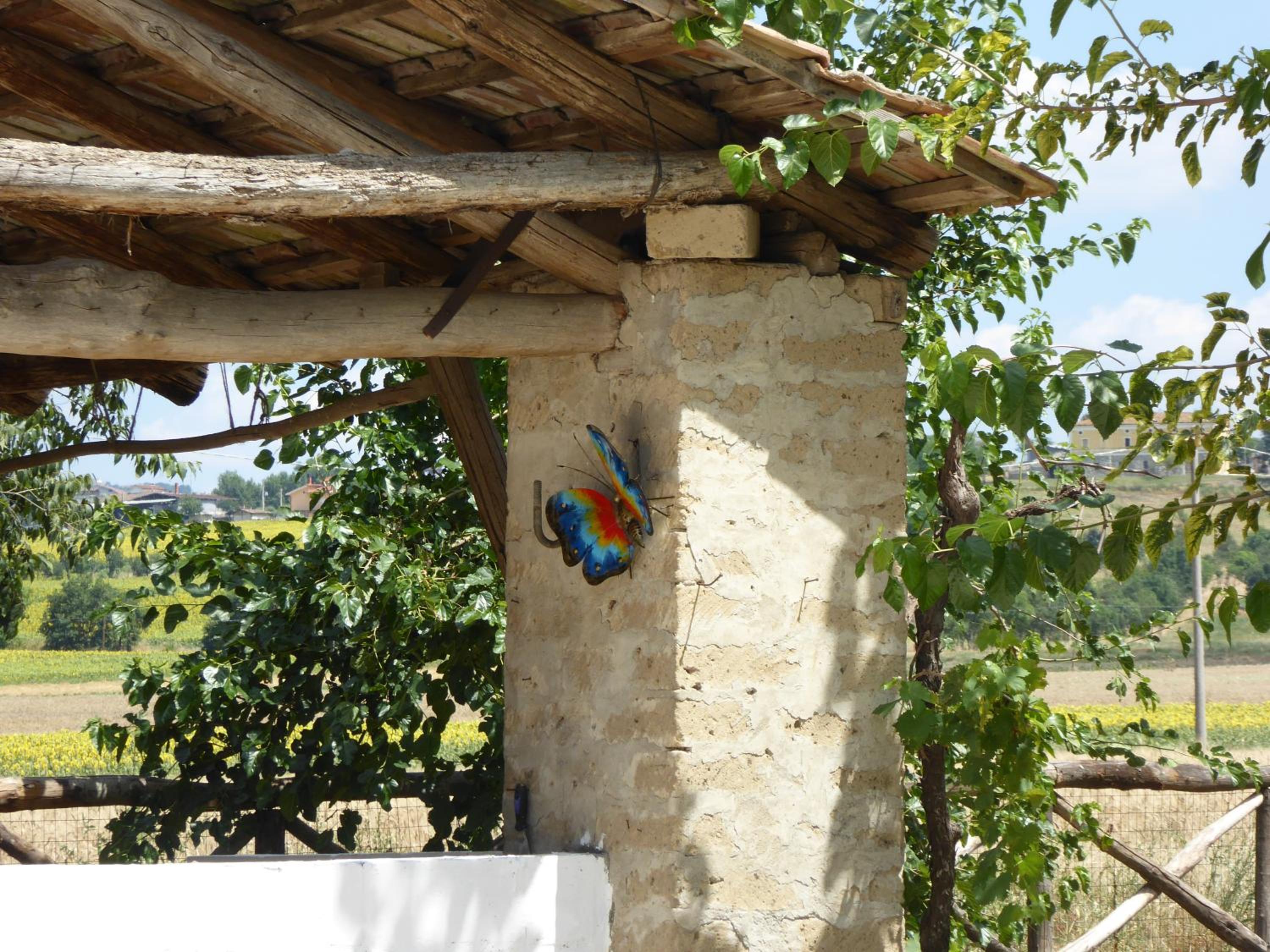 Photo 41
