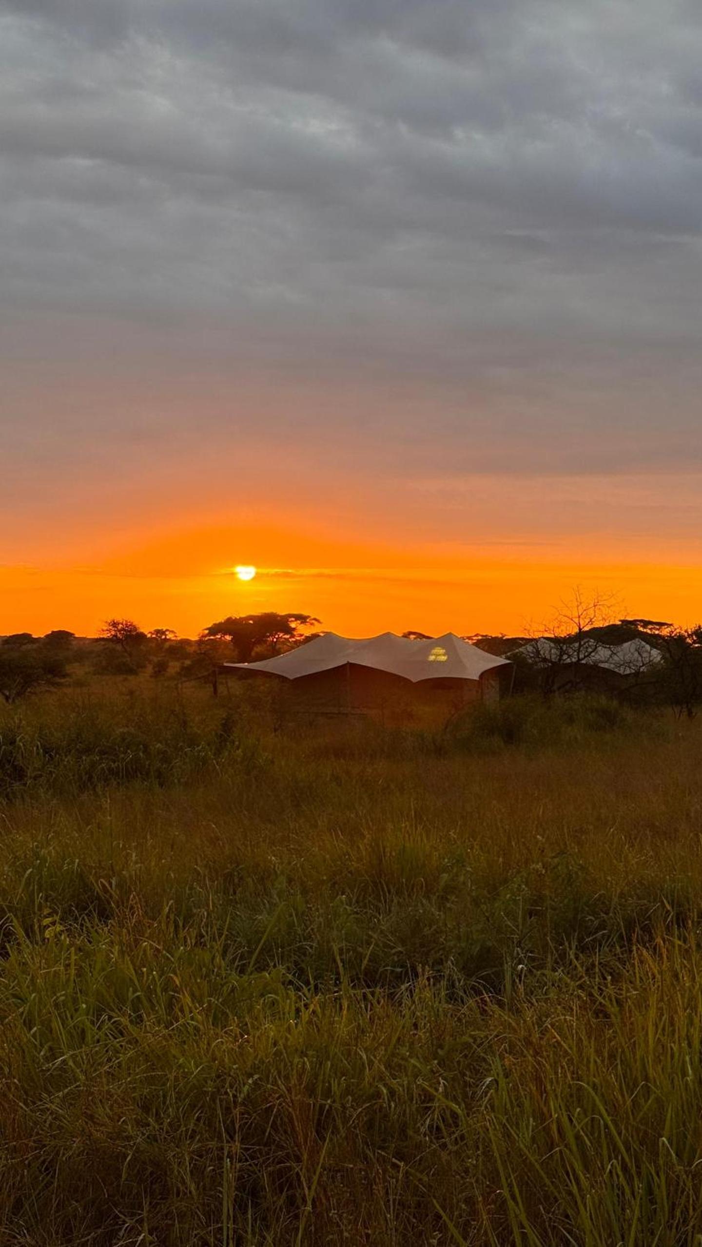 Pumba Luxury Camps Serengeti