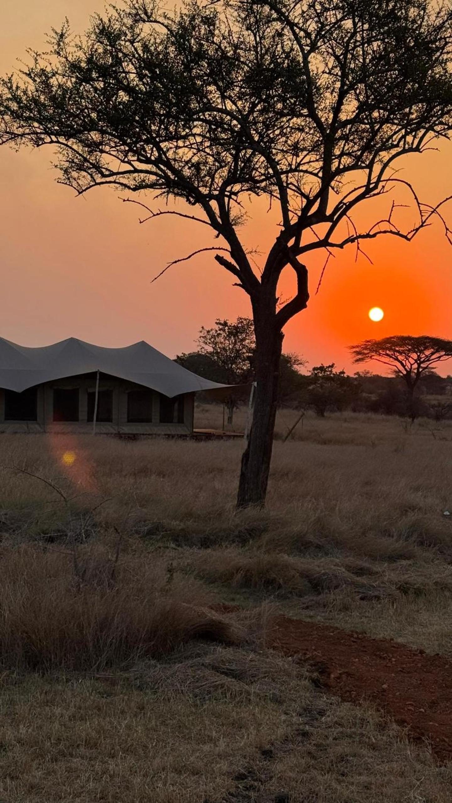 Pumba Luxury Camps Serengeti