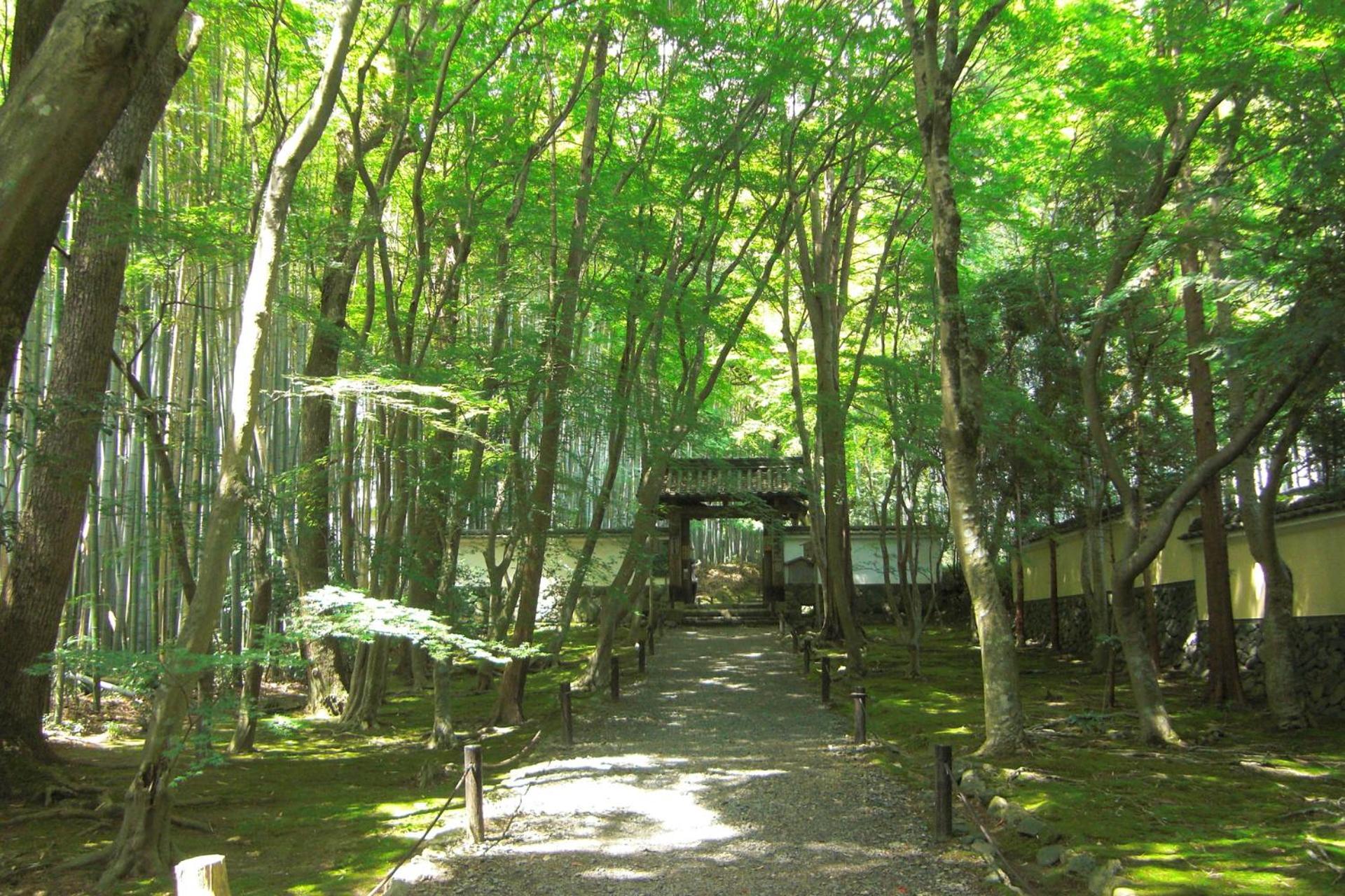 SAIZEN Matsumuro stay