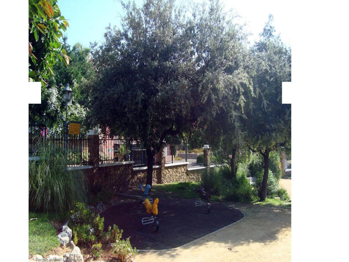 Photo 43