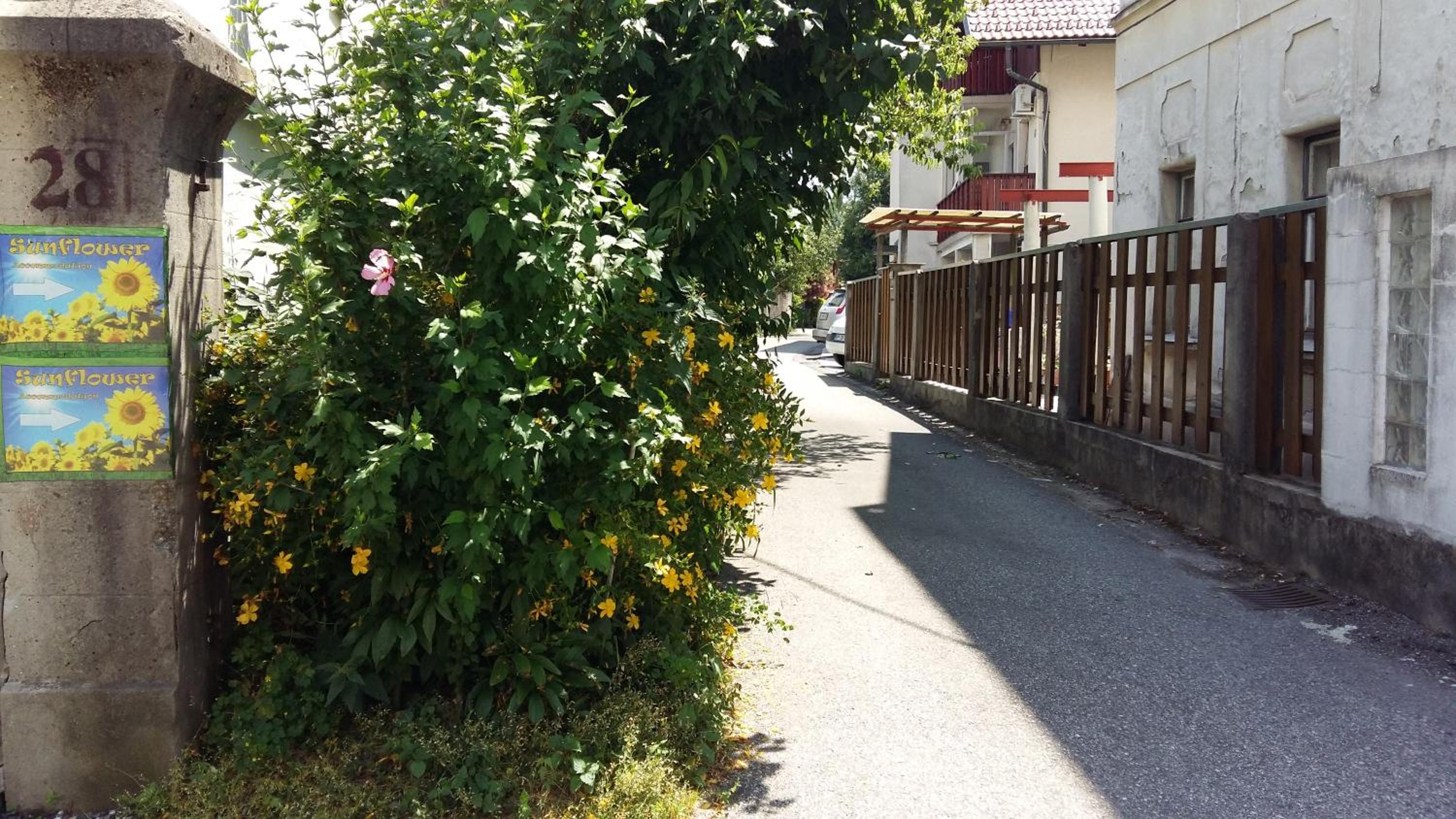 Sunflower Accommodation view 4