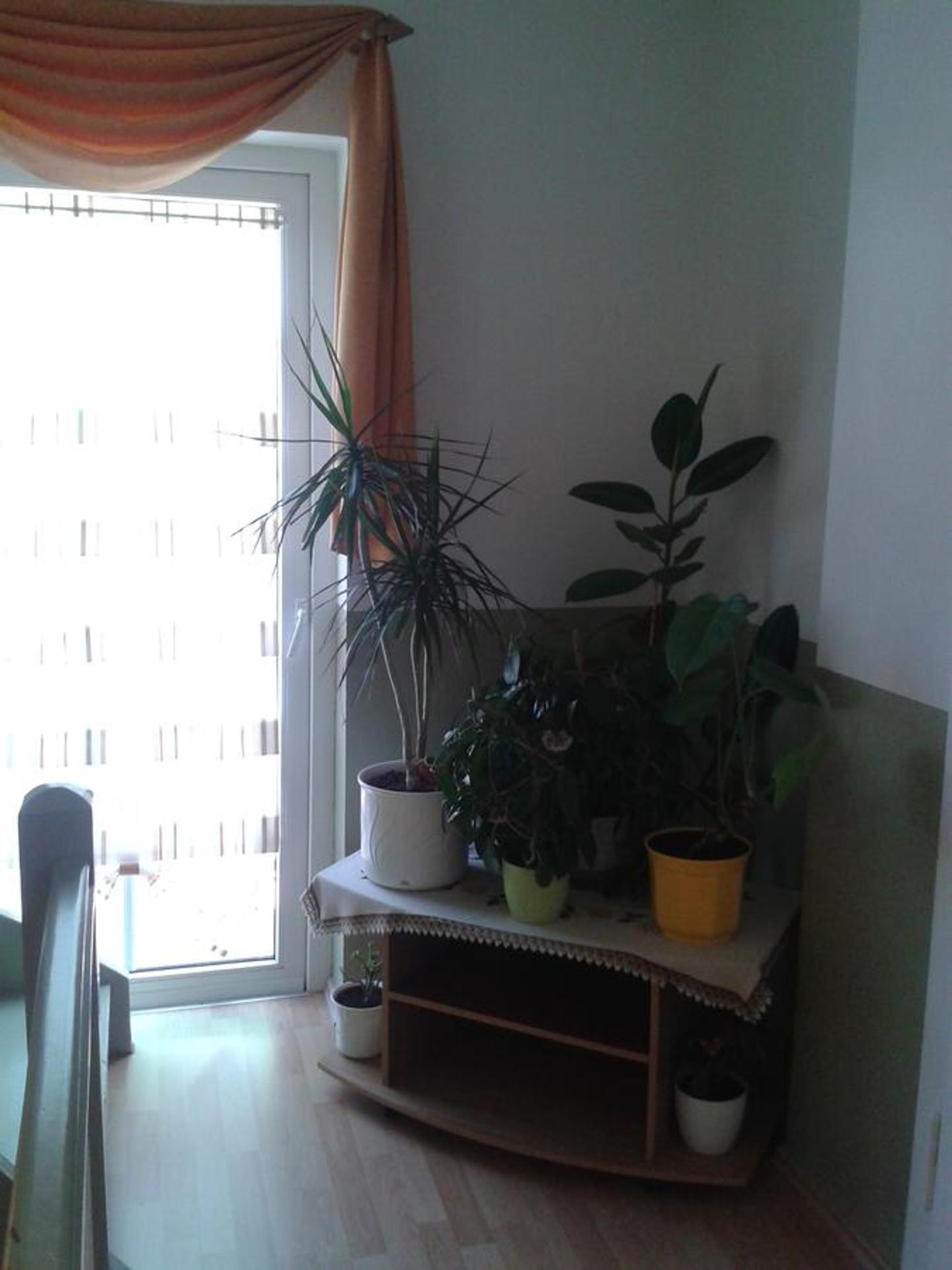 Pension Irmisch