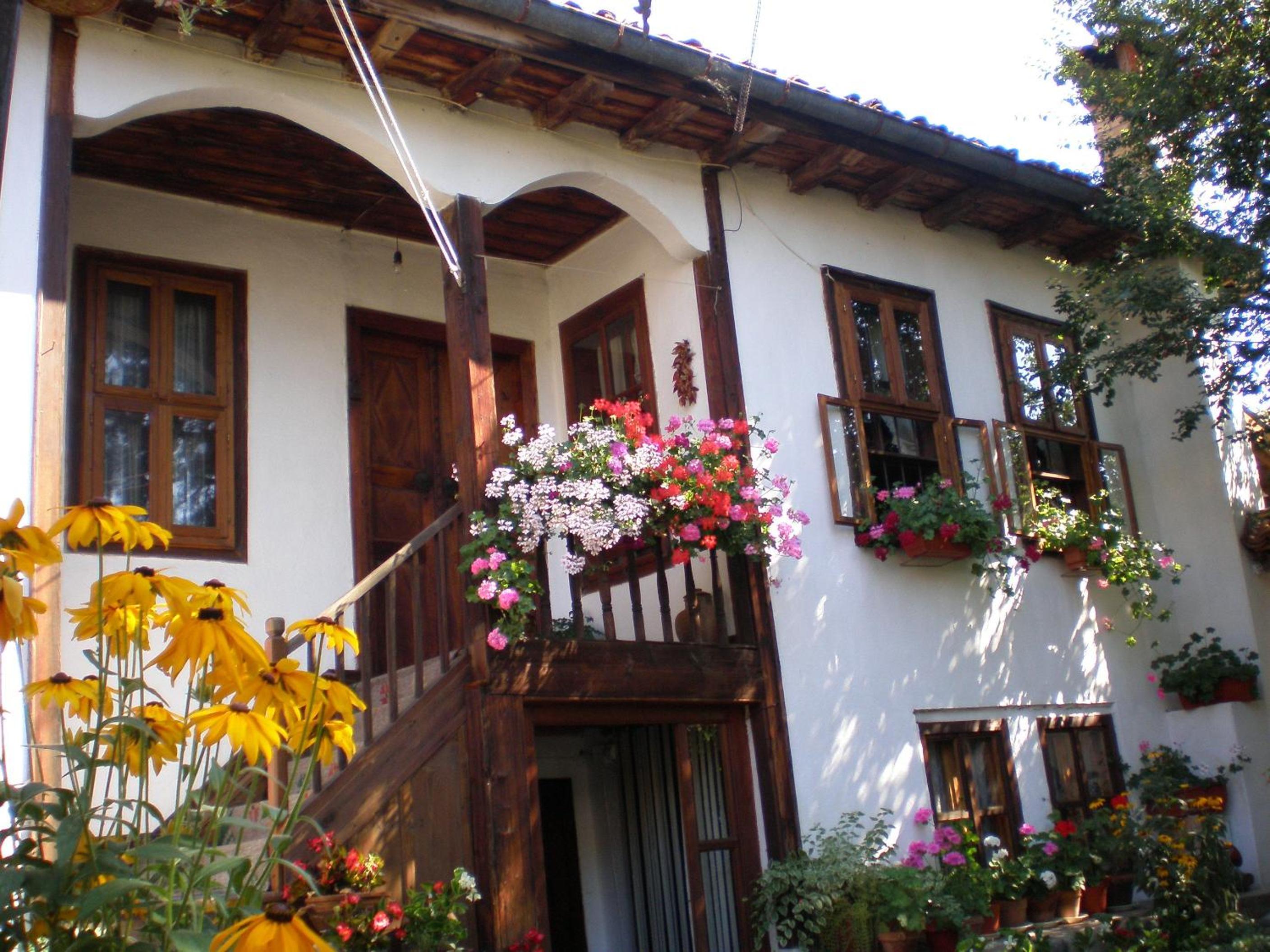 Tsutsovi House