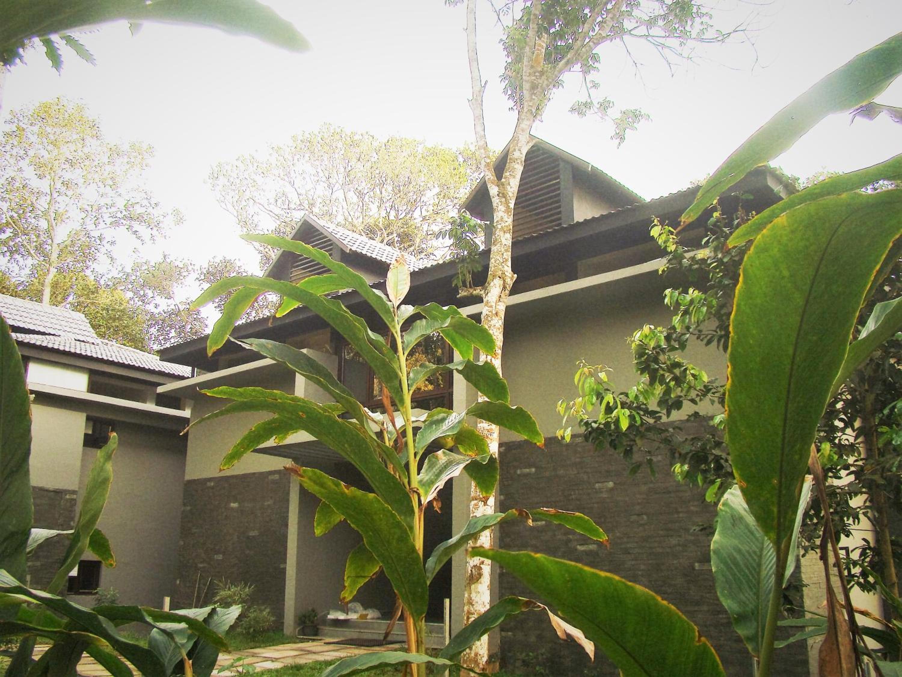 The Mountain Courtyard Thekkady