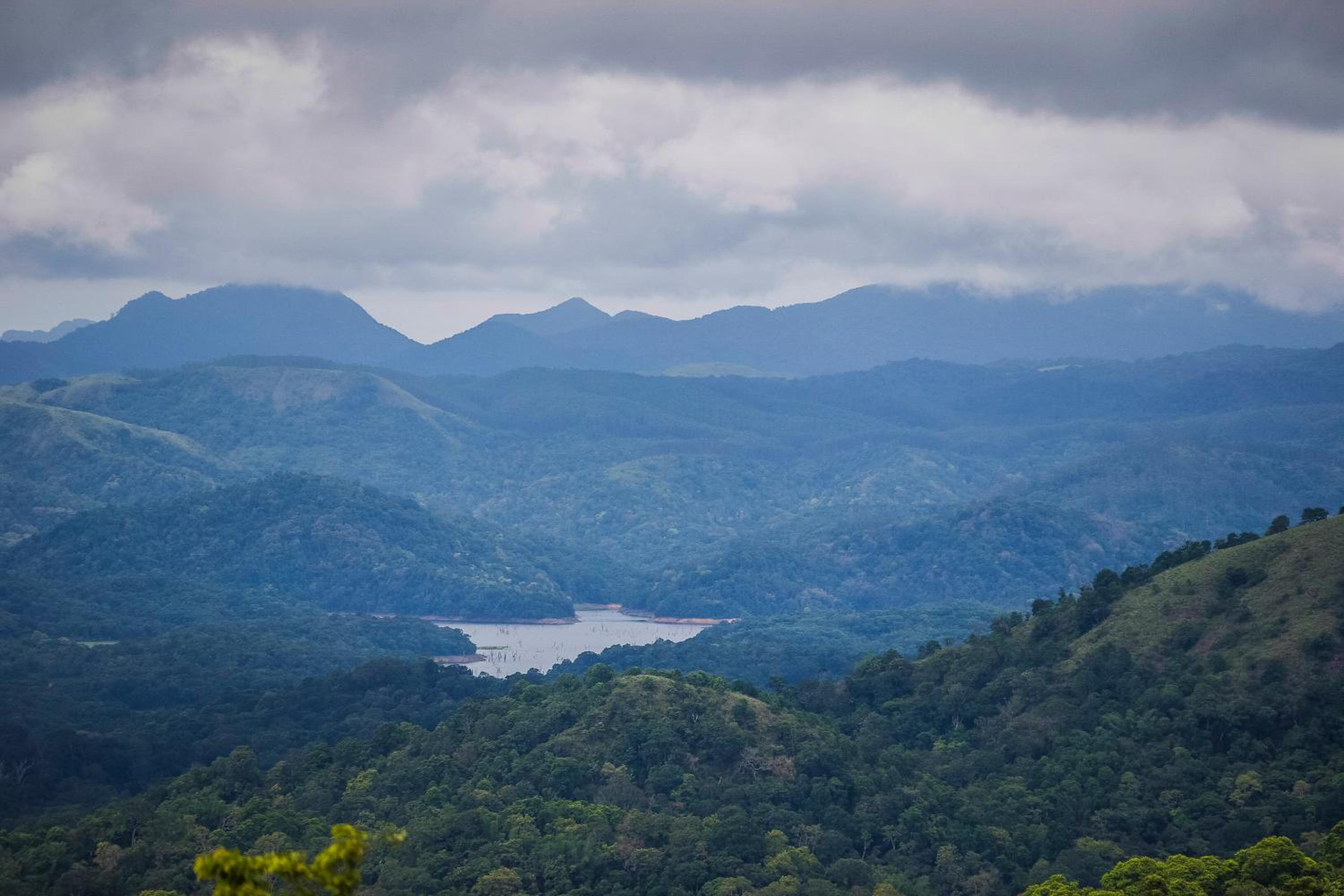 The Mountain Courtyard Thekkady