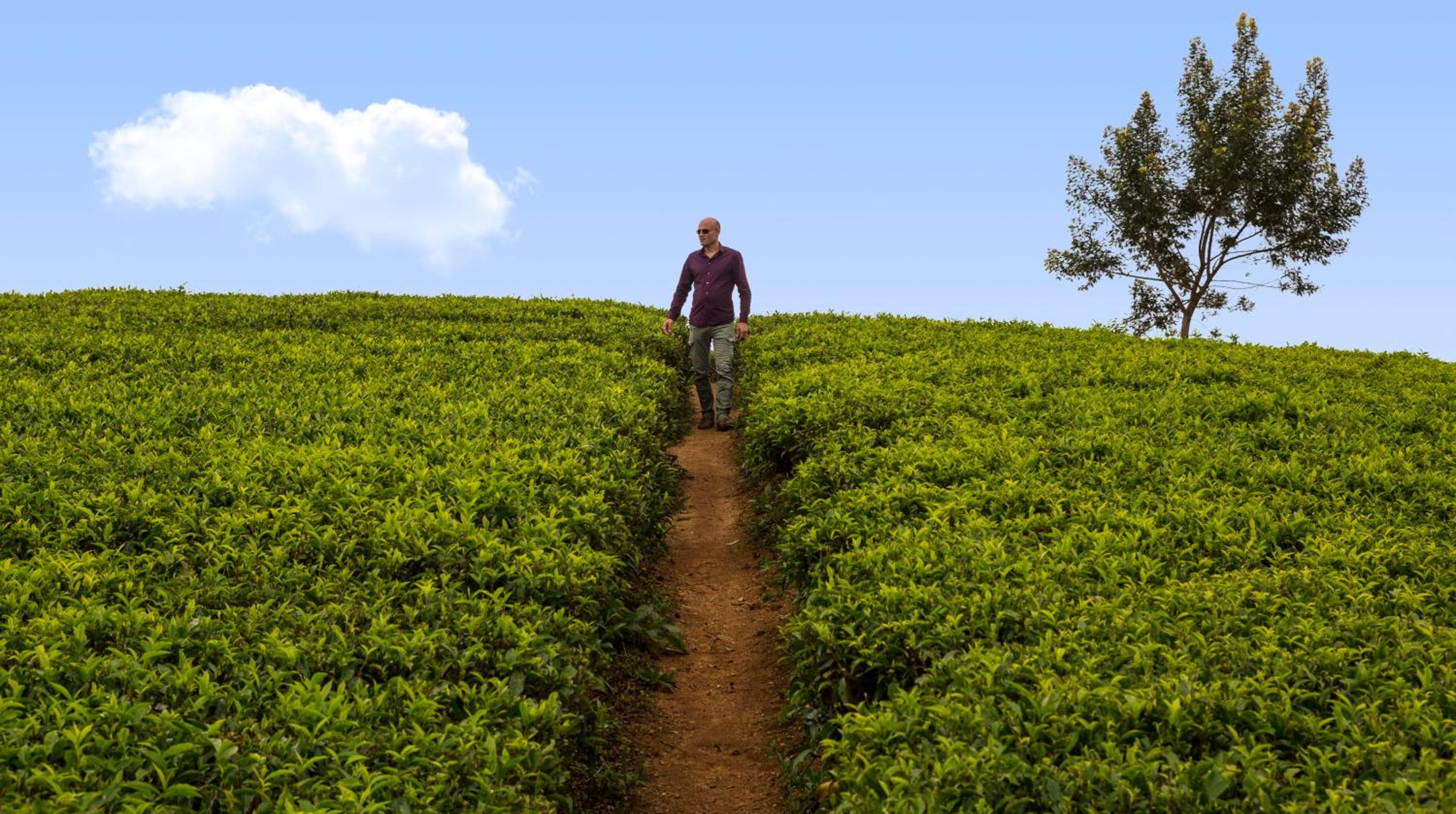 Hill Rise Luxury Villa & Stables by Edwards Collection - Nuwara Eliya