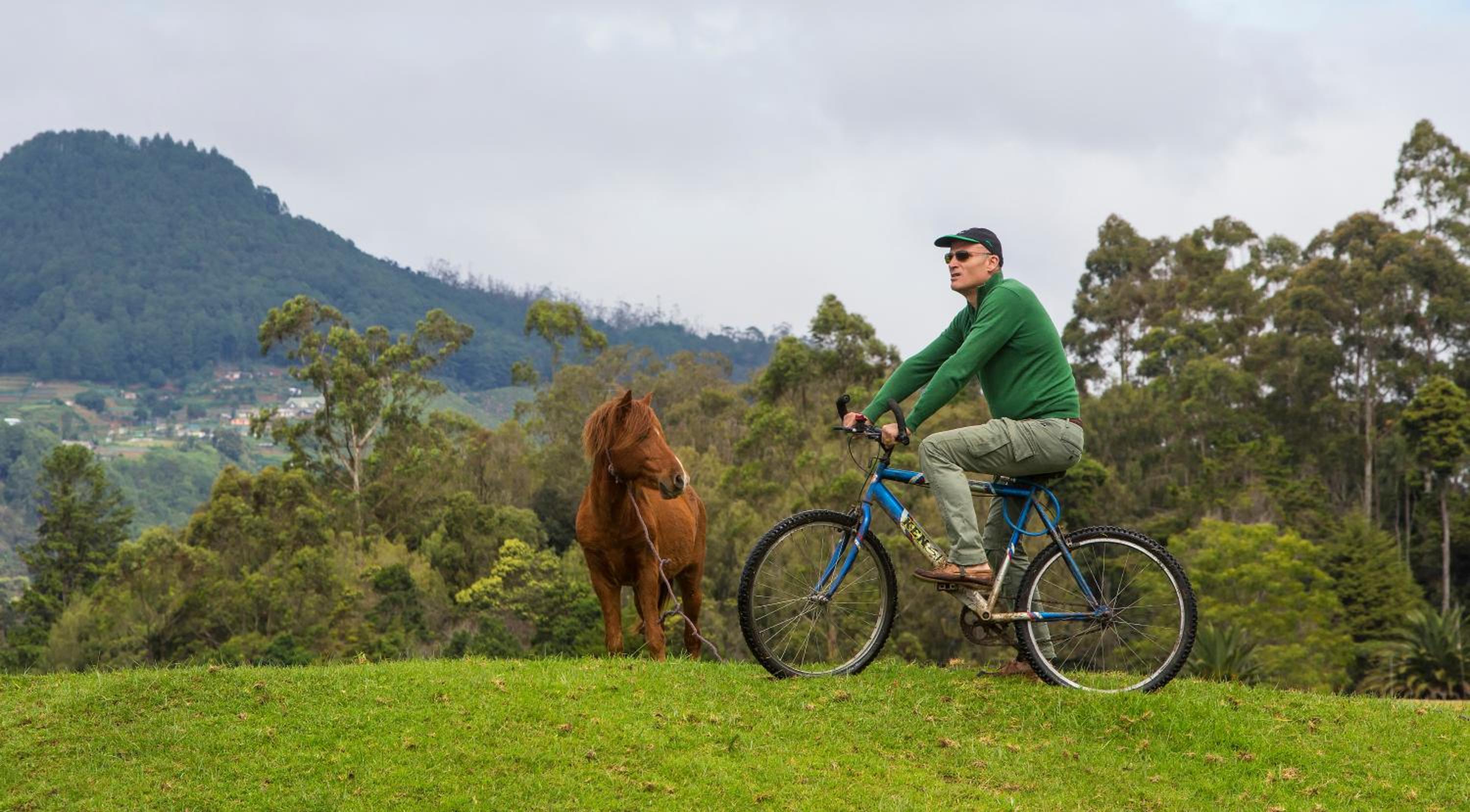 Hill Rise Luxury Villa & Stables by Edwards Collection - Nuwara Eliya