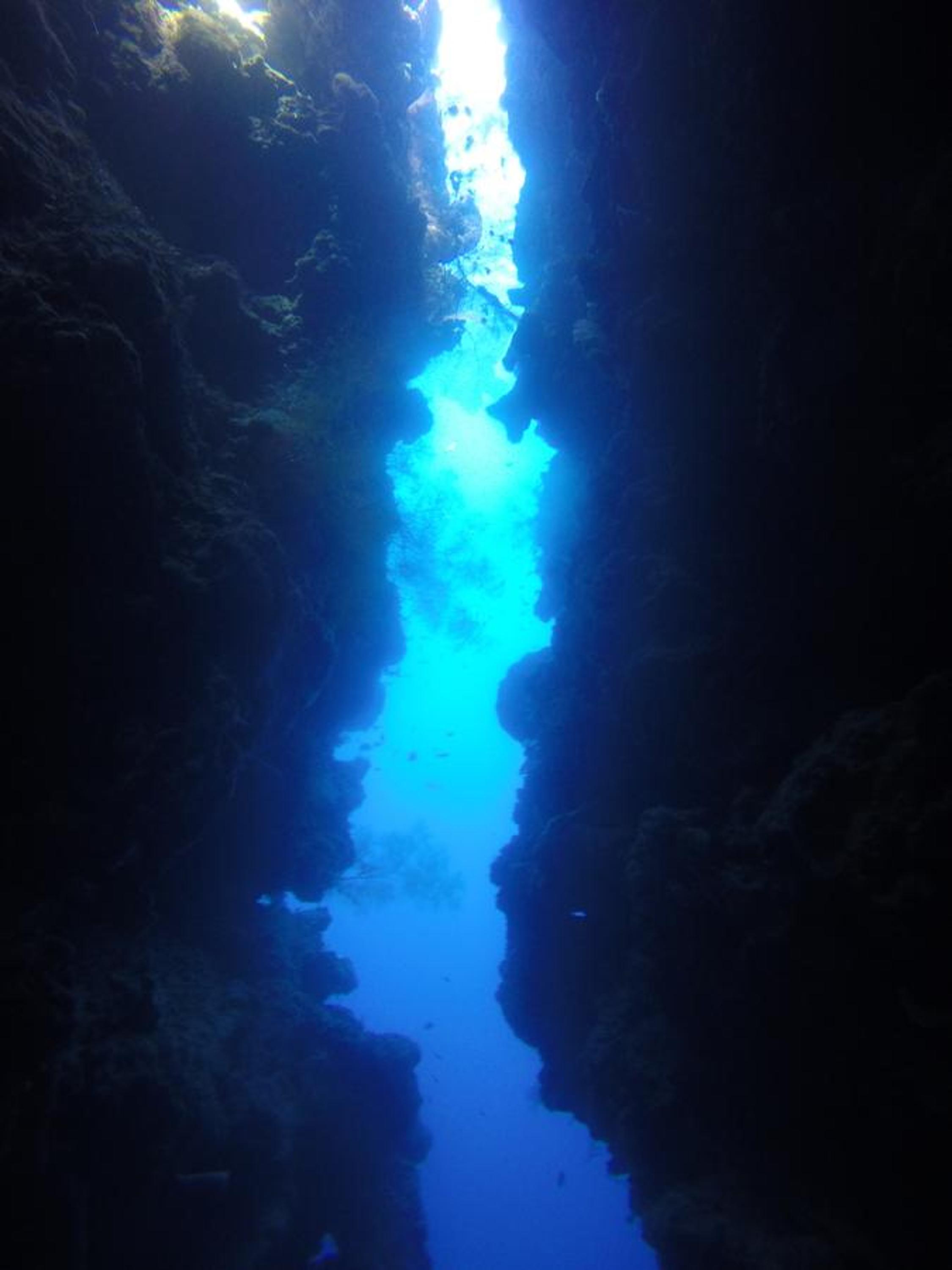 Biorock Homestay & Dive Center Pemuteran