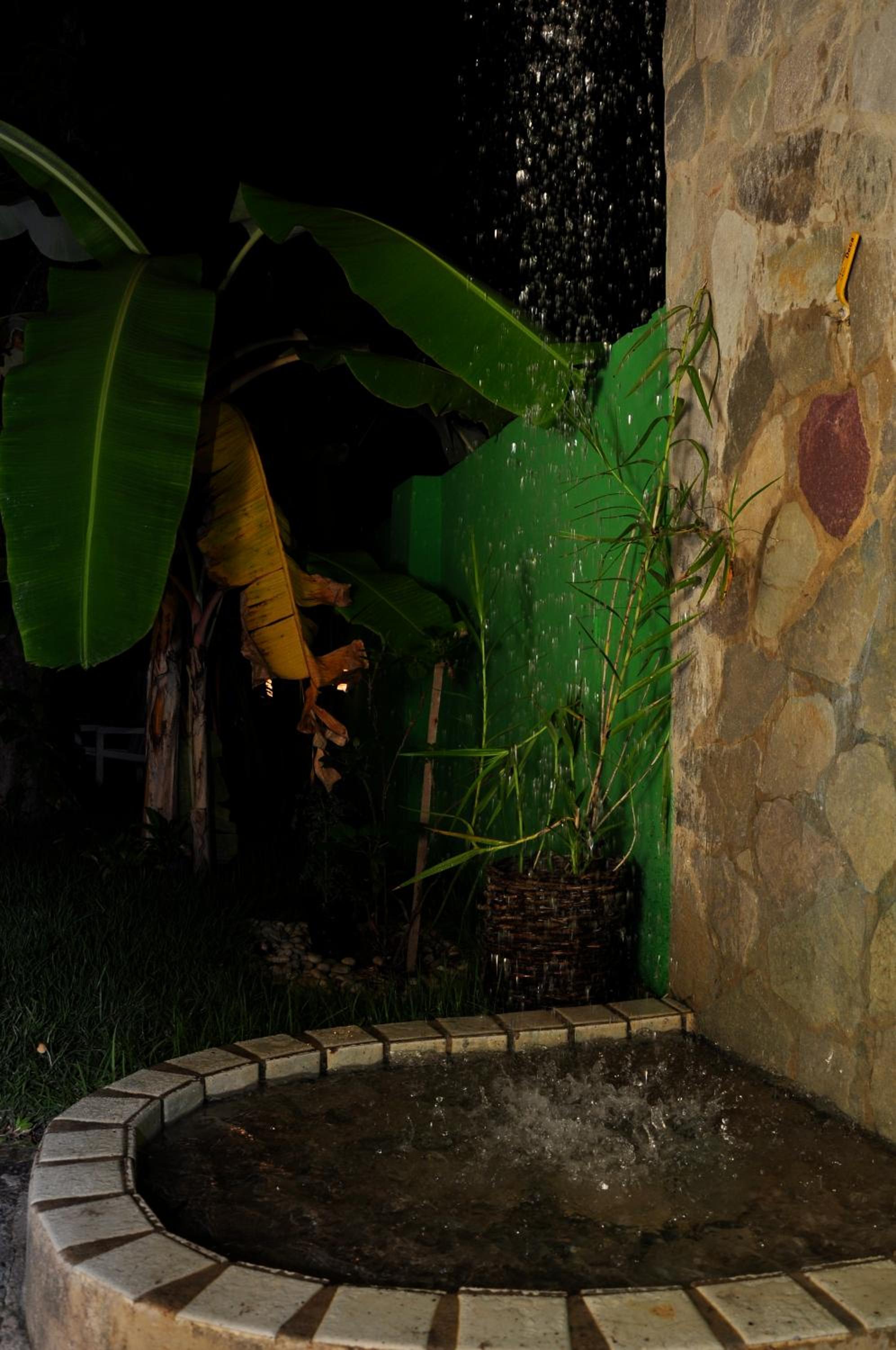 Photo 26