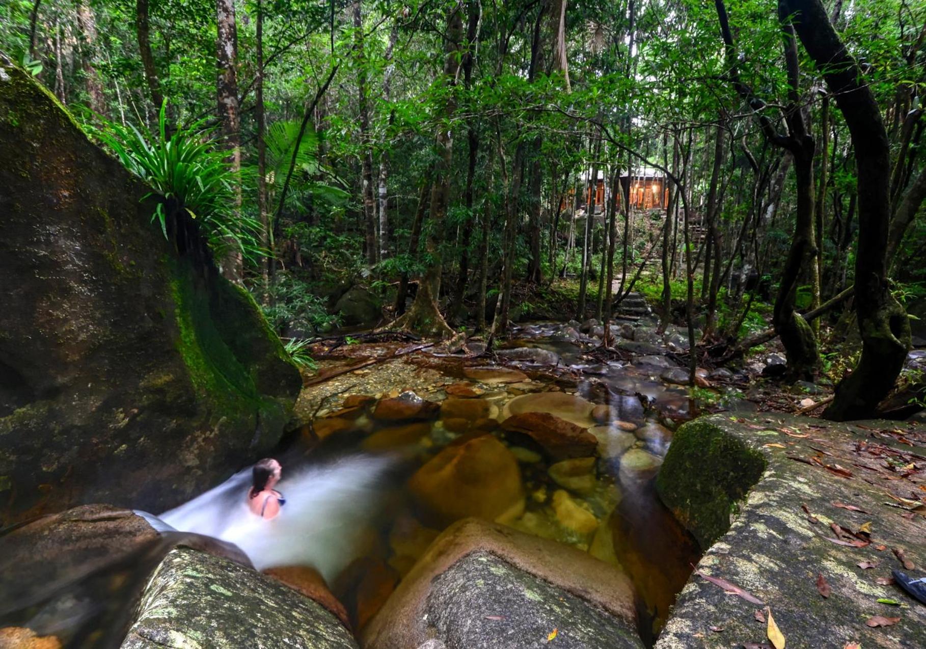 Daintree Cascades view 2