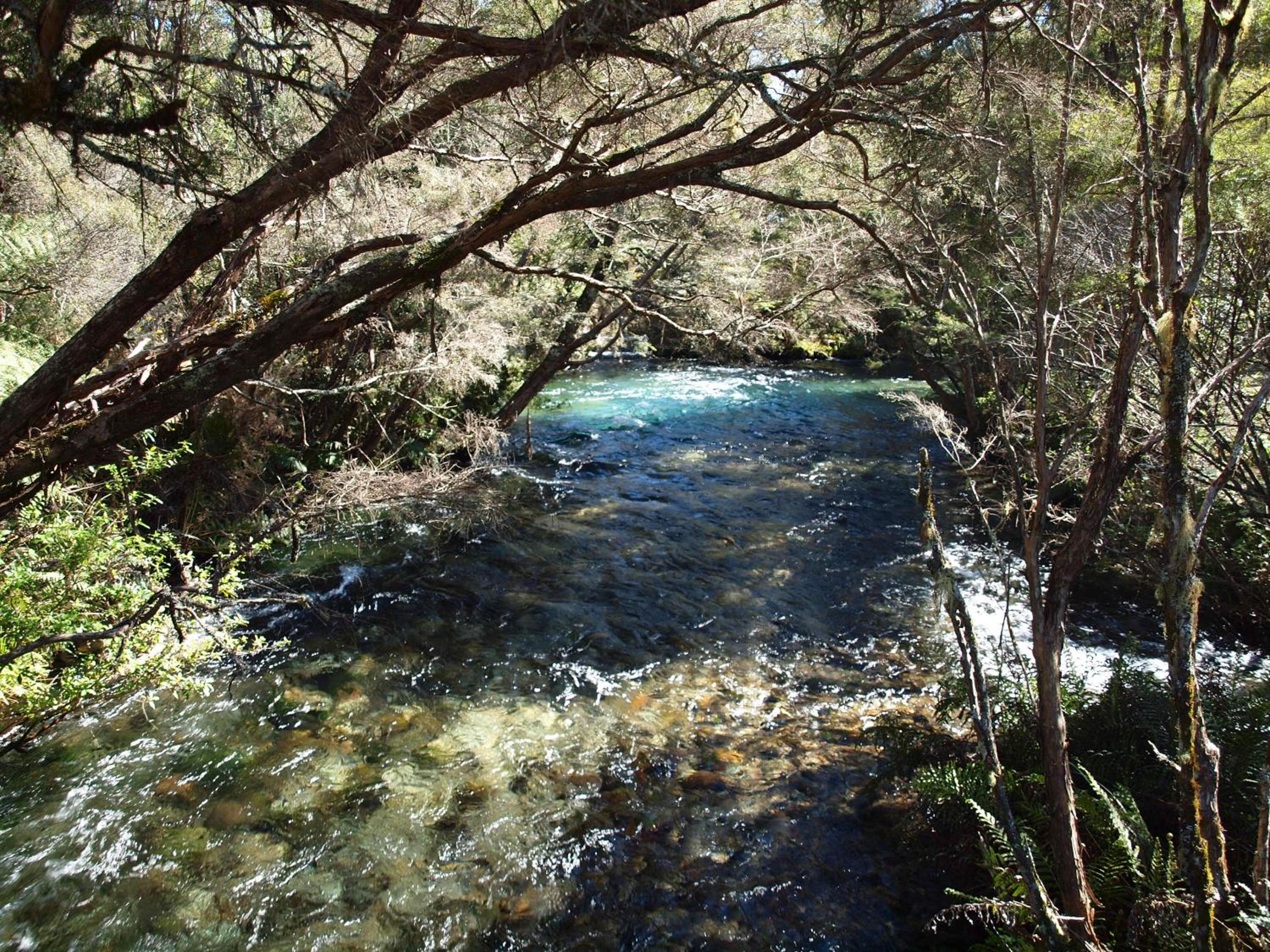 Photo 43