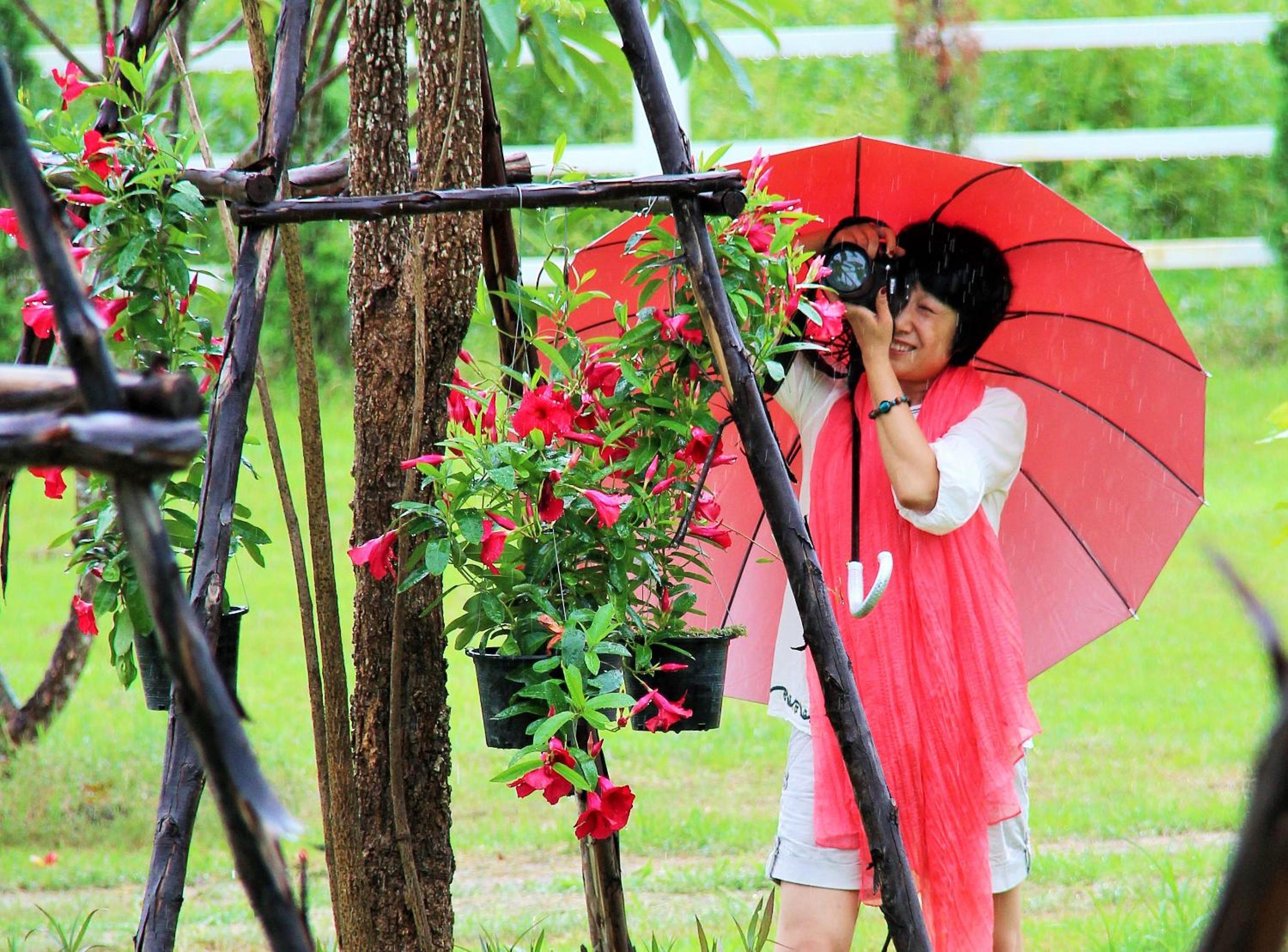 Family House Zen Boutique Resort