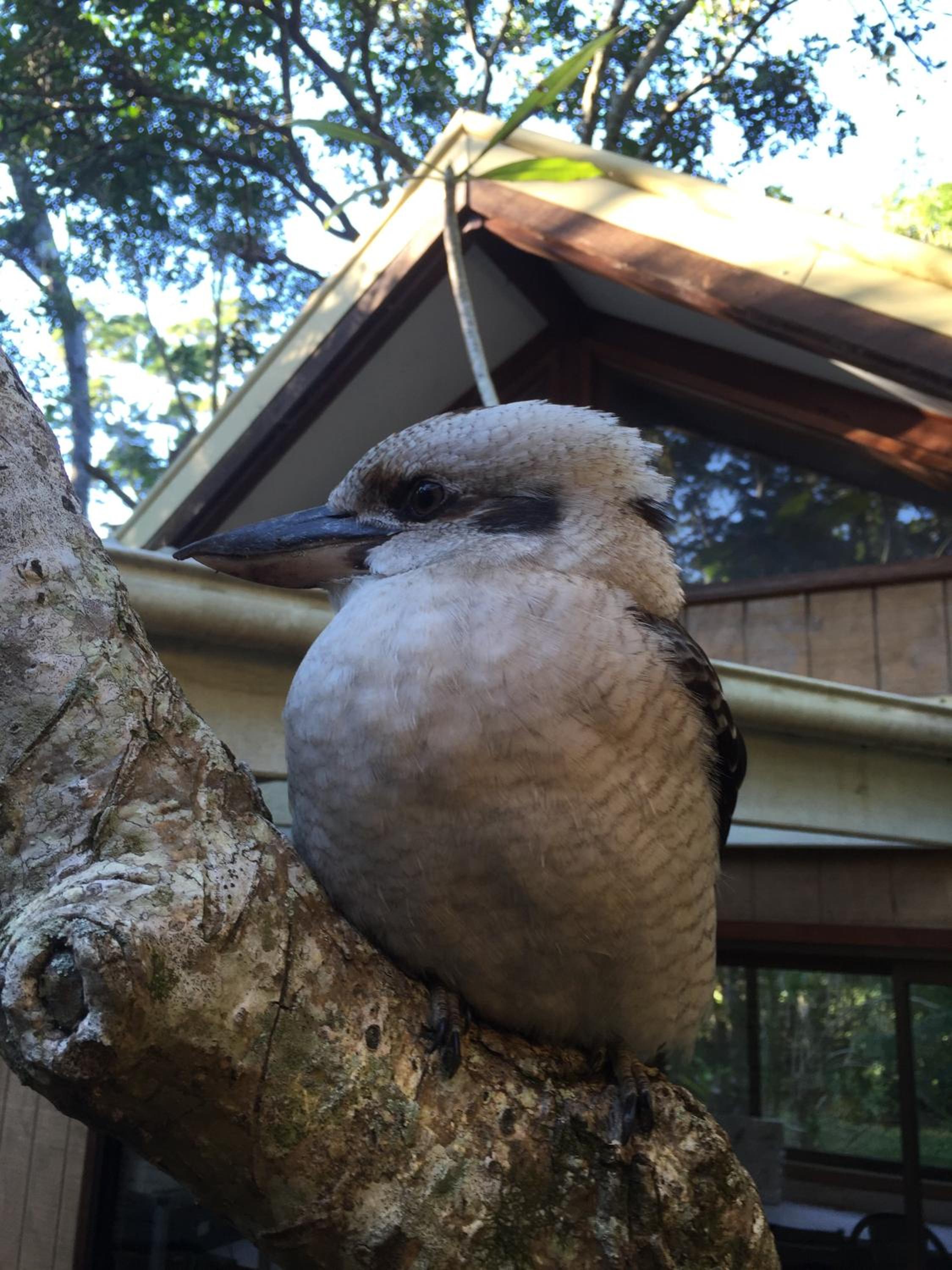 Photo 15