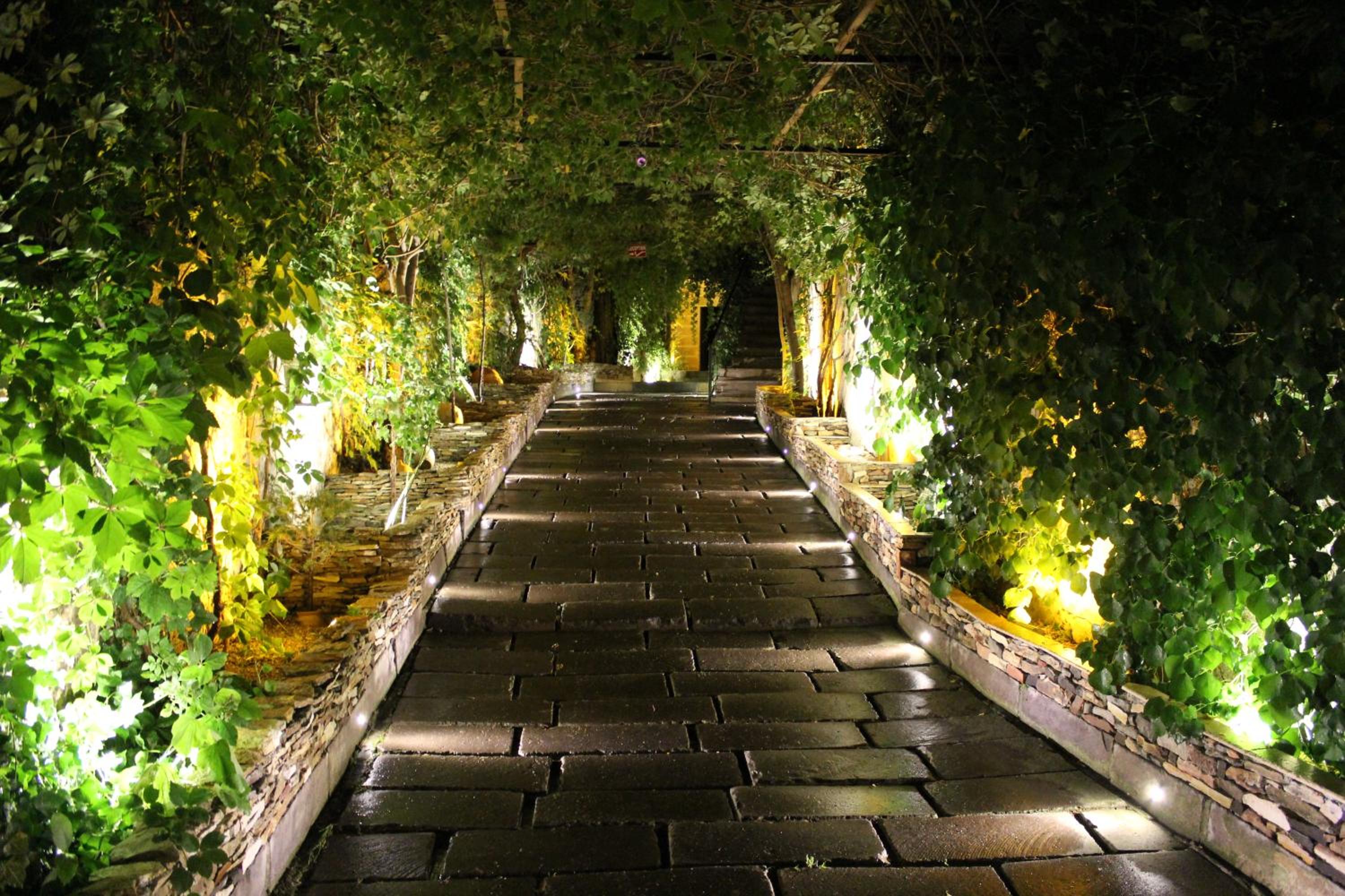 Local Cave House Hotel - Image 23