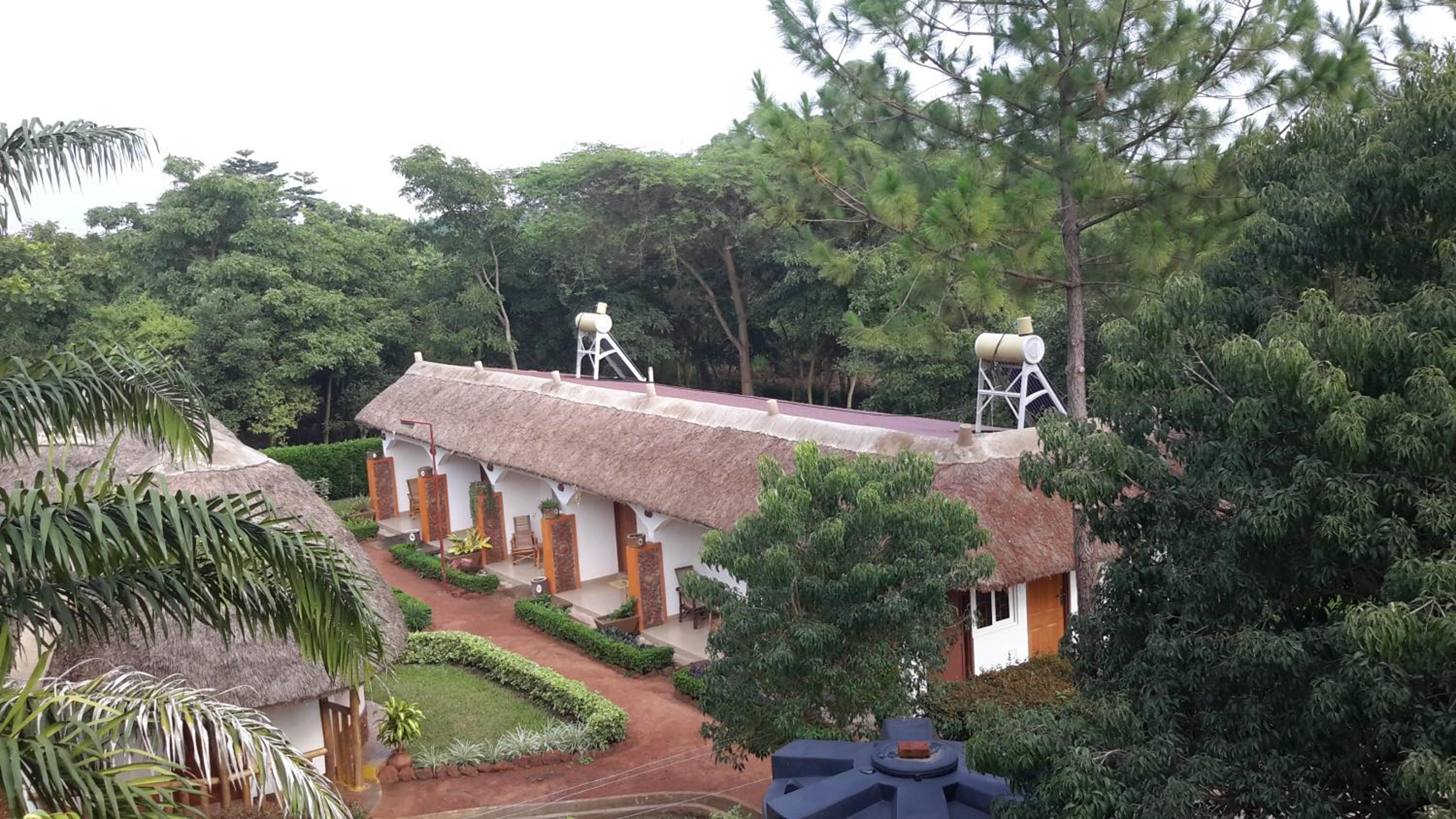 Photo 105