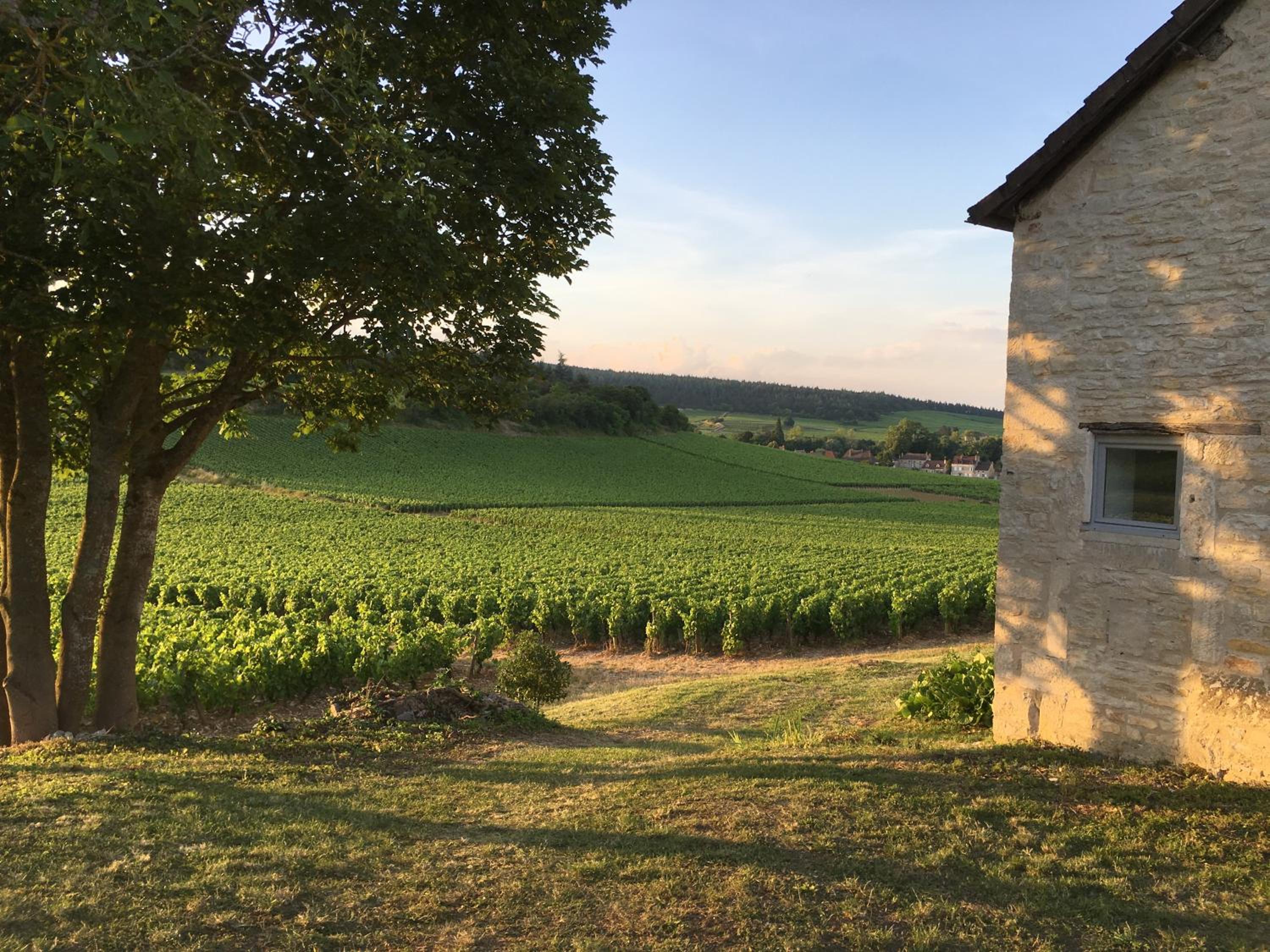 La Maison du Clos du Roi