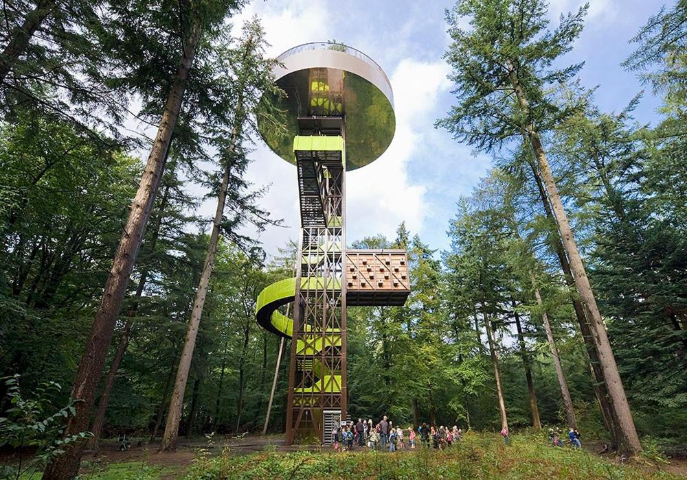 Loom - Modern Lodge in the Woods