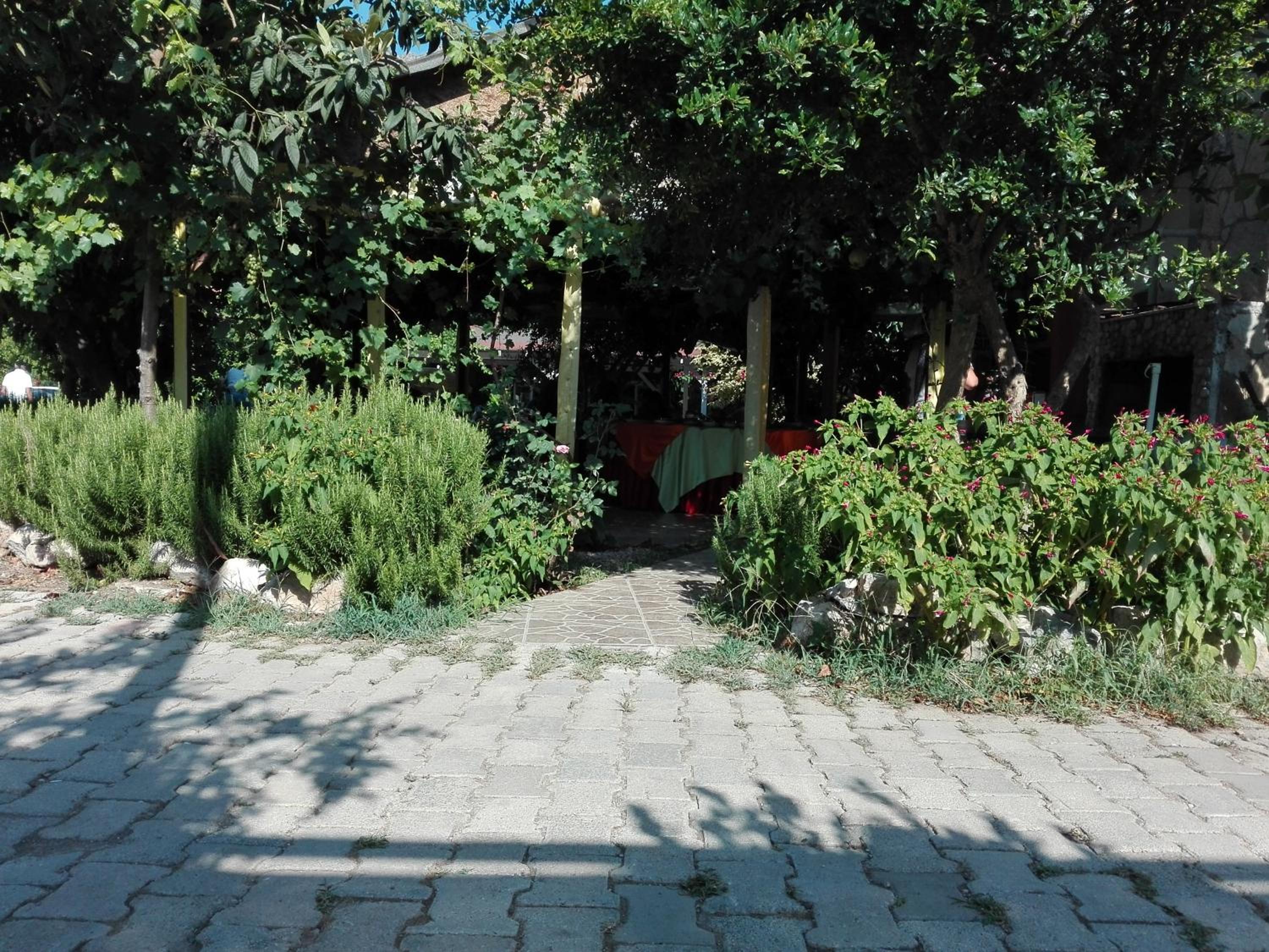 Photo 13