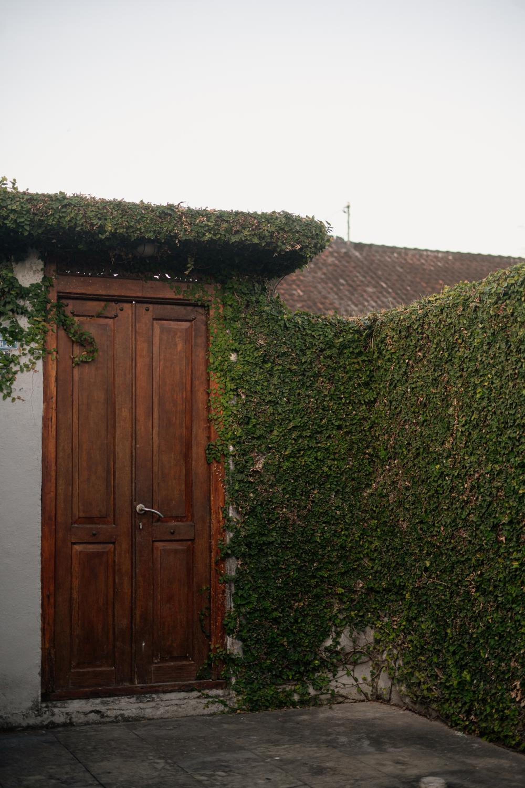 Kubu Gena Studio