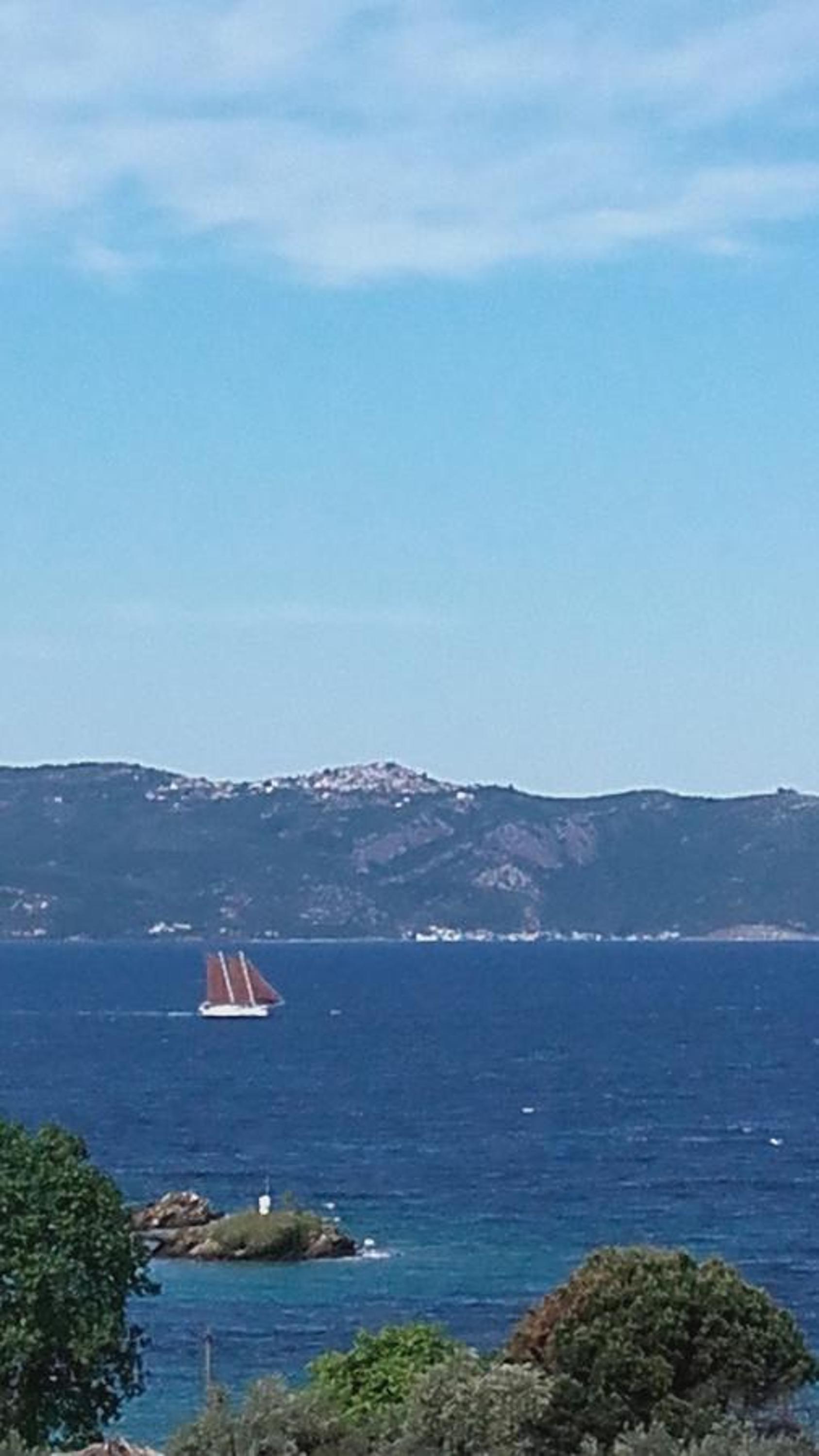 Theoxenia