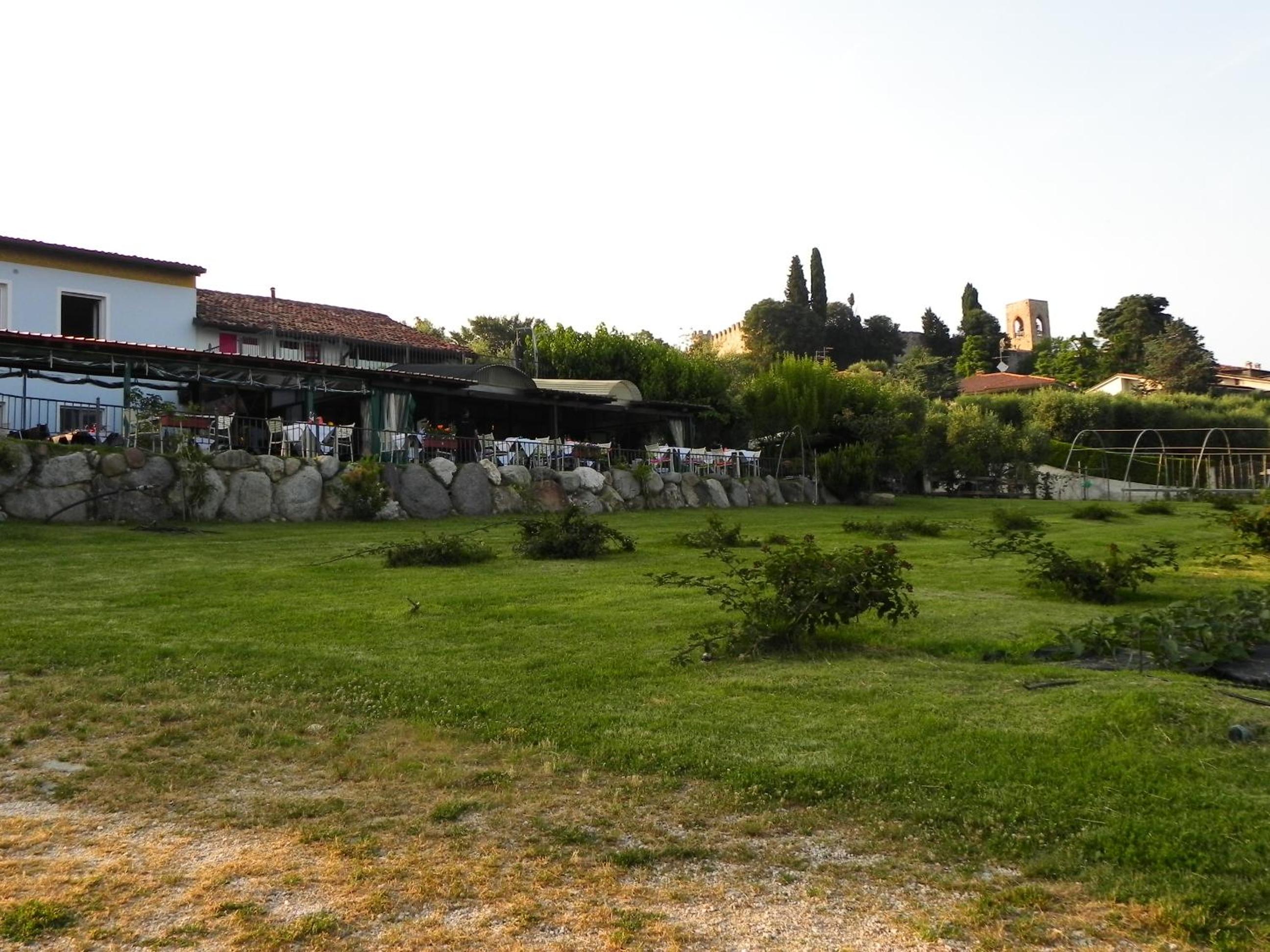 Photo 42