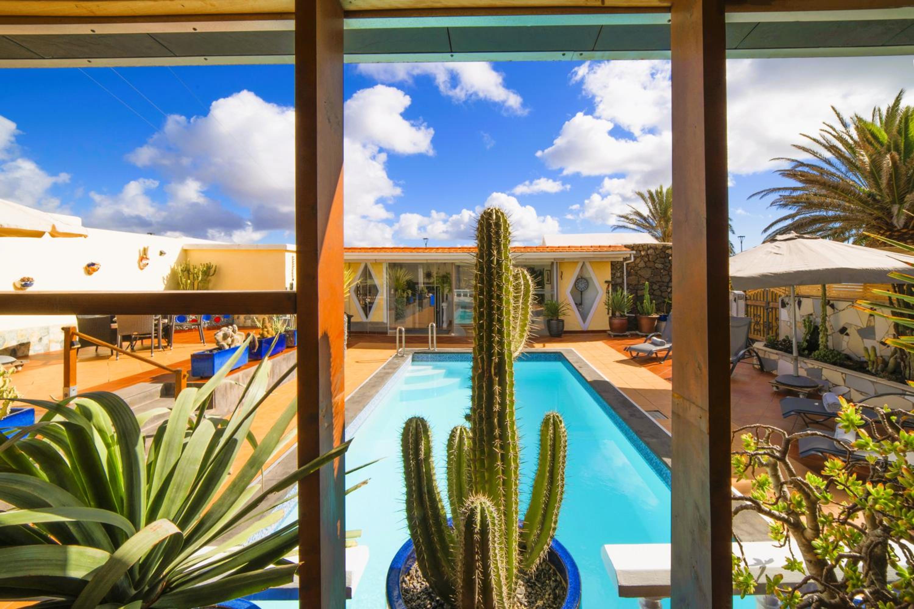 Villa MADORA - private pool, amazing garden, sea view, quiet location