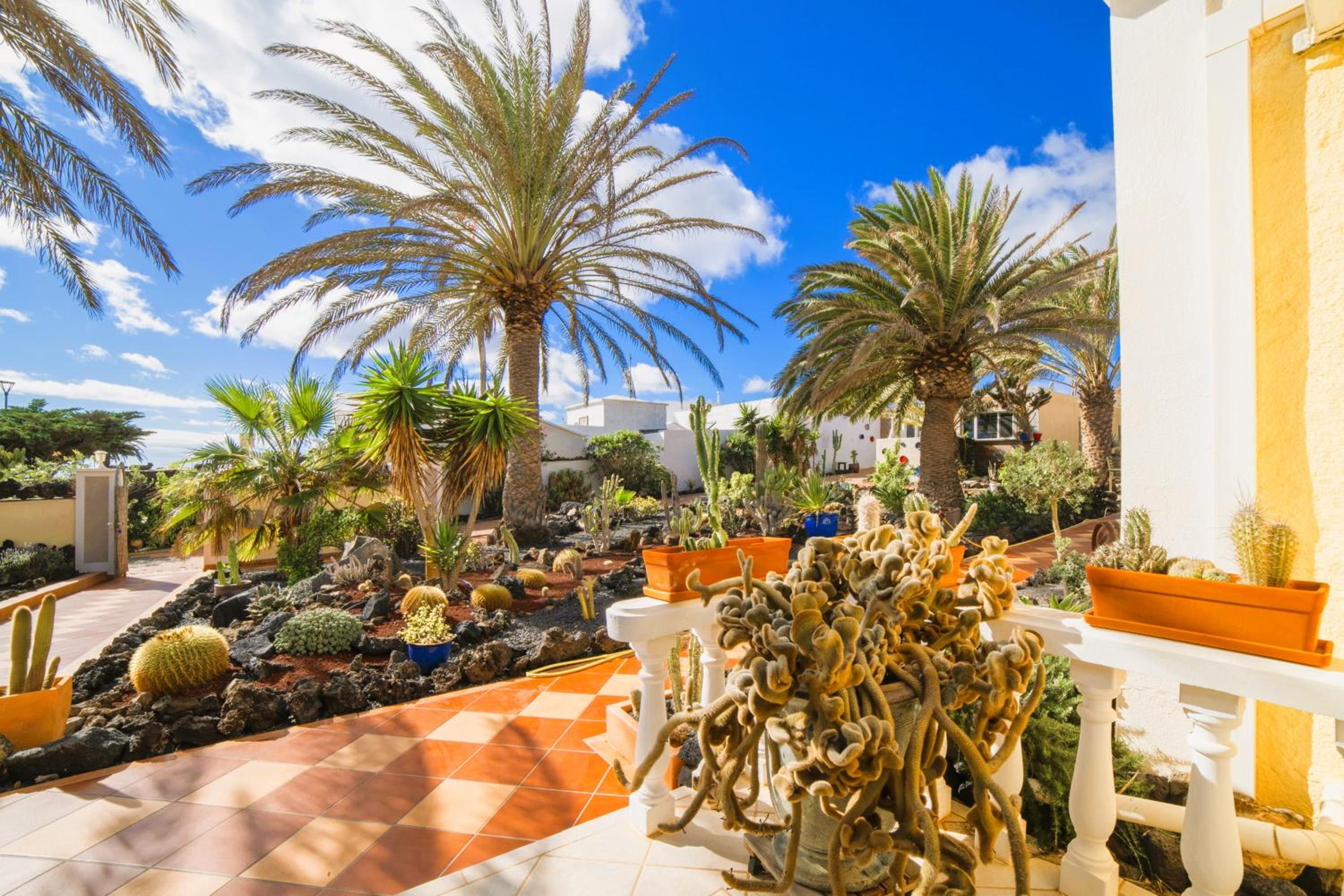 Villa MADORA - private pool, amazing garden, sea view, quiet location