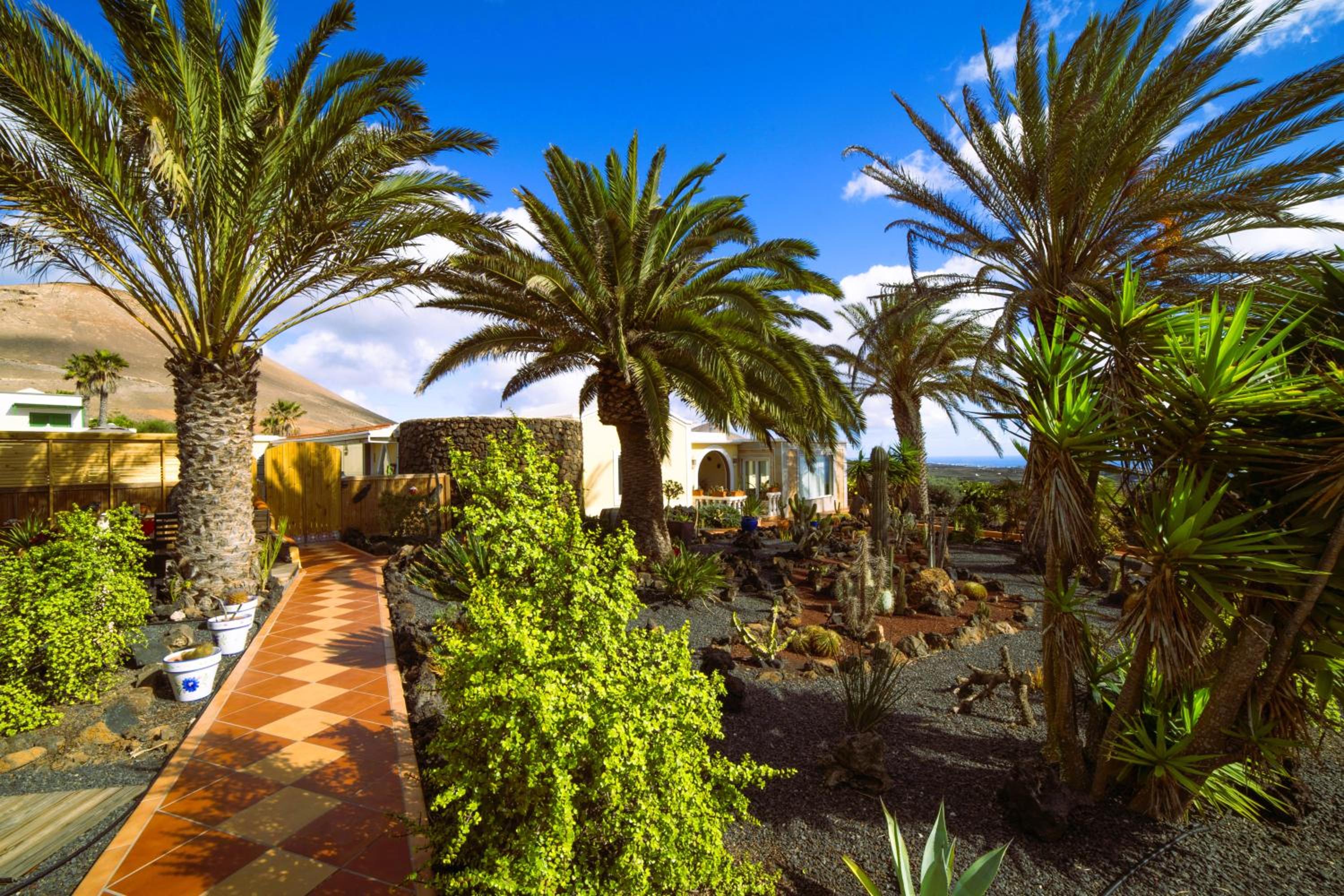 Villa MADORA - private pool, amazing garden, sea view, quiet location