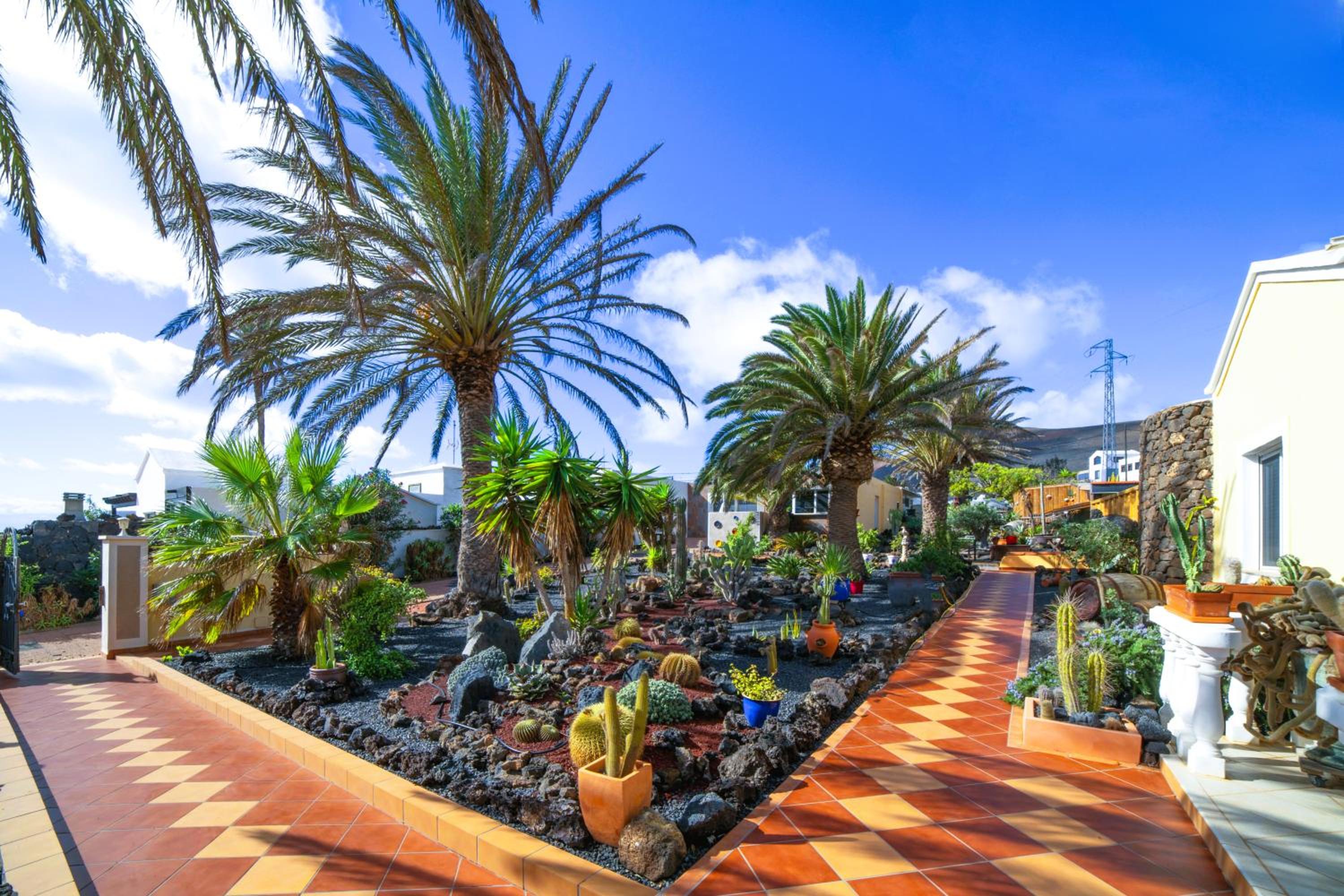 Villa MADORA - private pool, amazing garden, sea view, quiet location