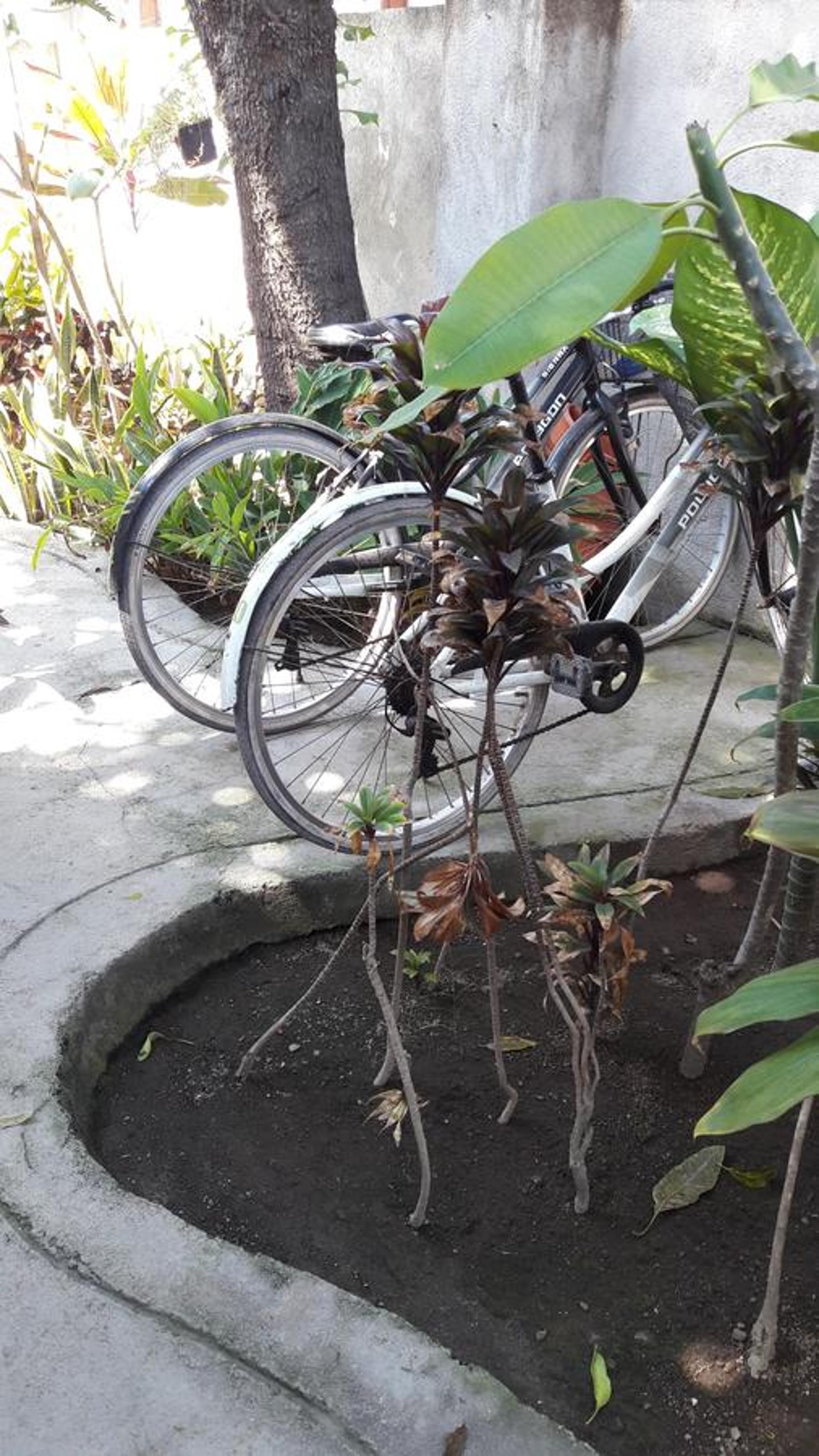 Gili T Heaven