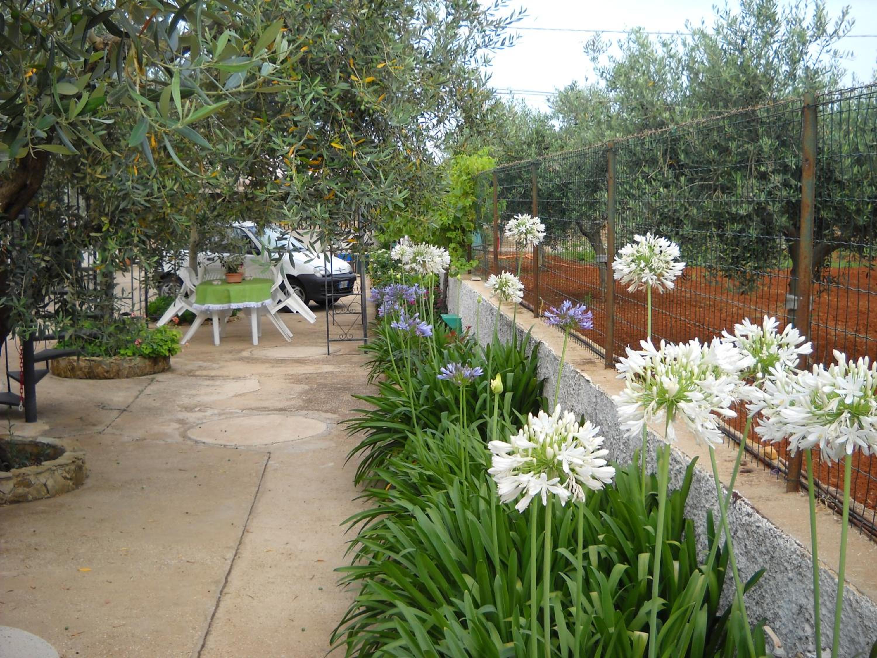 Santa Teresa