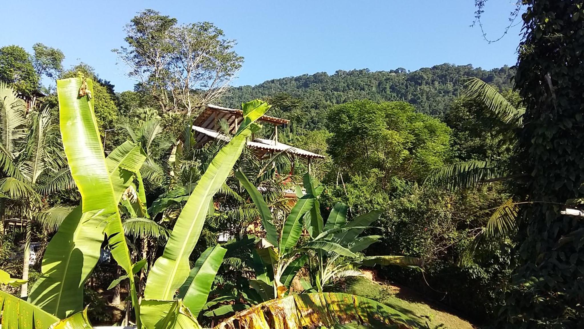 Recanto Ipê Amarelo