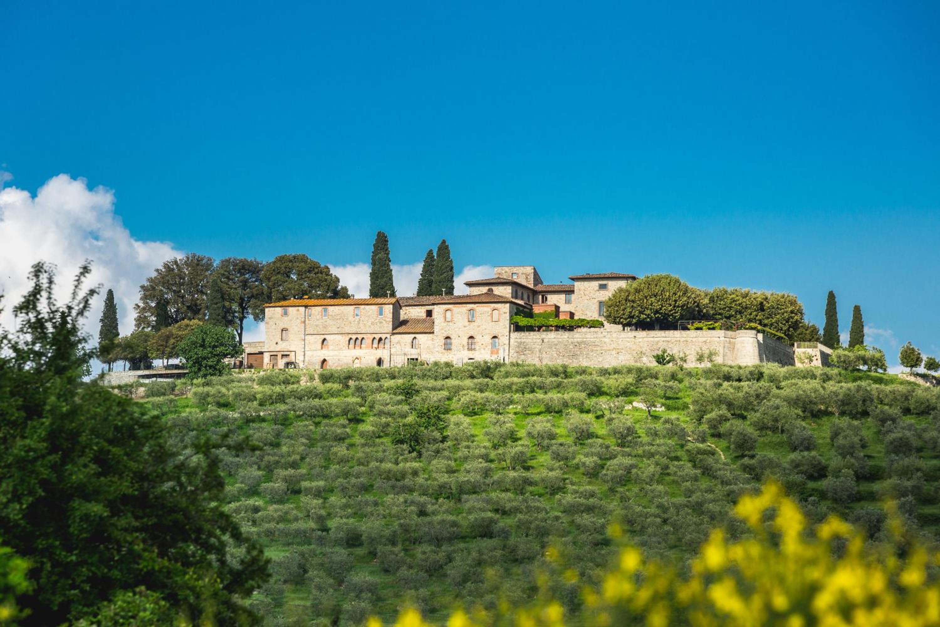 Castello La Leccia