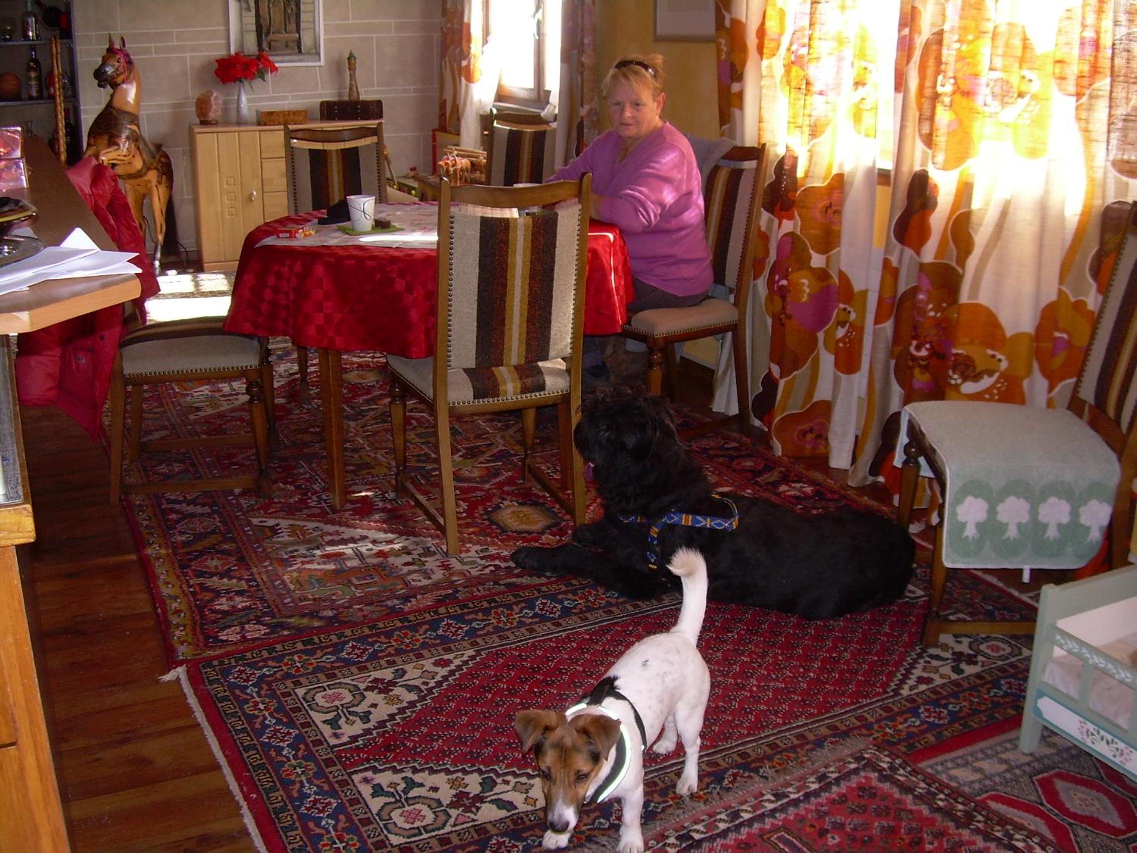 Wohlfühloase für Mensch und Hund