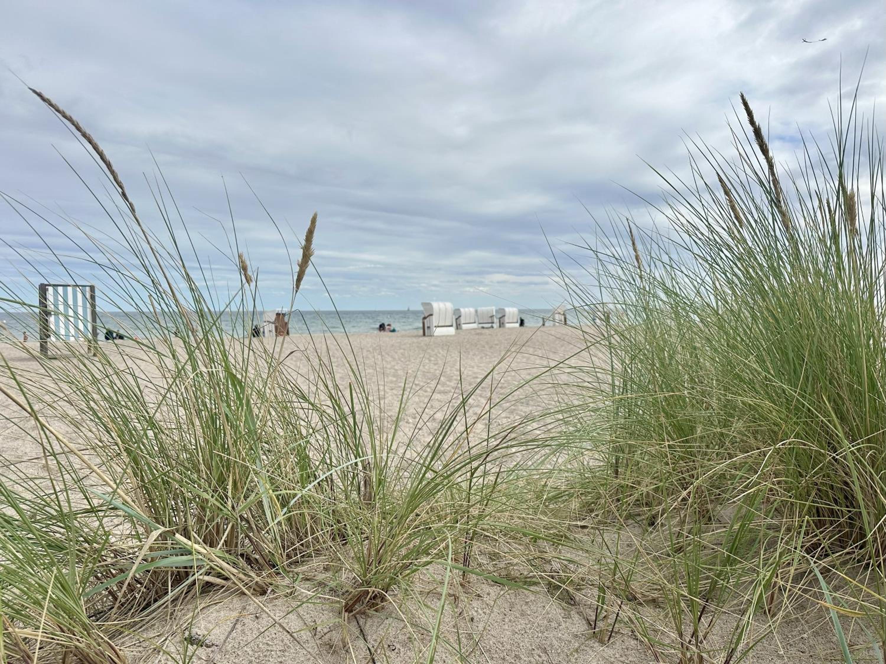 Nordlicht, Olpenitz - moderne Ferienwohnung in direkter Strandnähe mit eigenem Eingang, Sauna, Kaminofen, Terrasse und Parkplatz