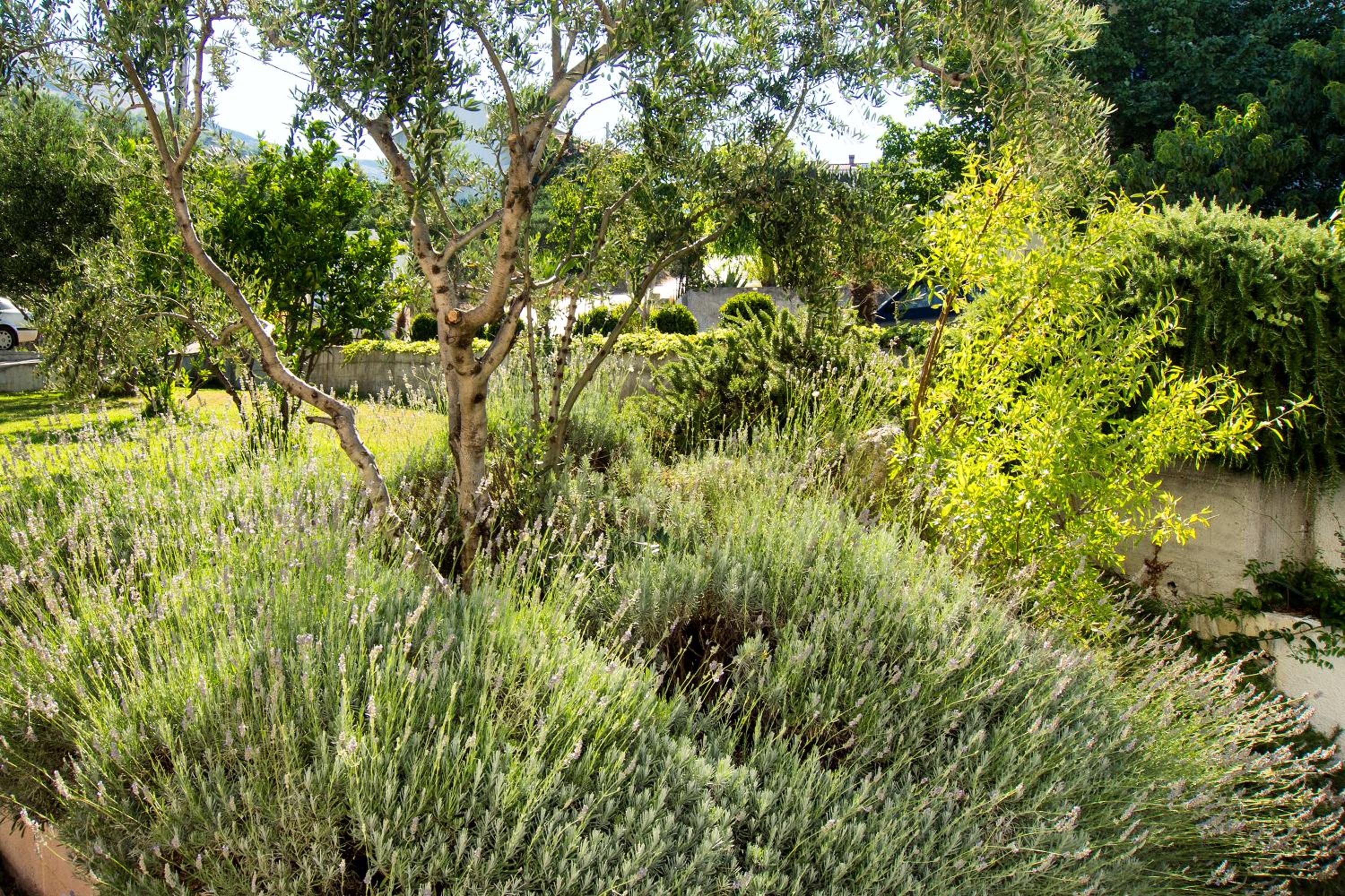 Villa Lavanda