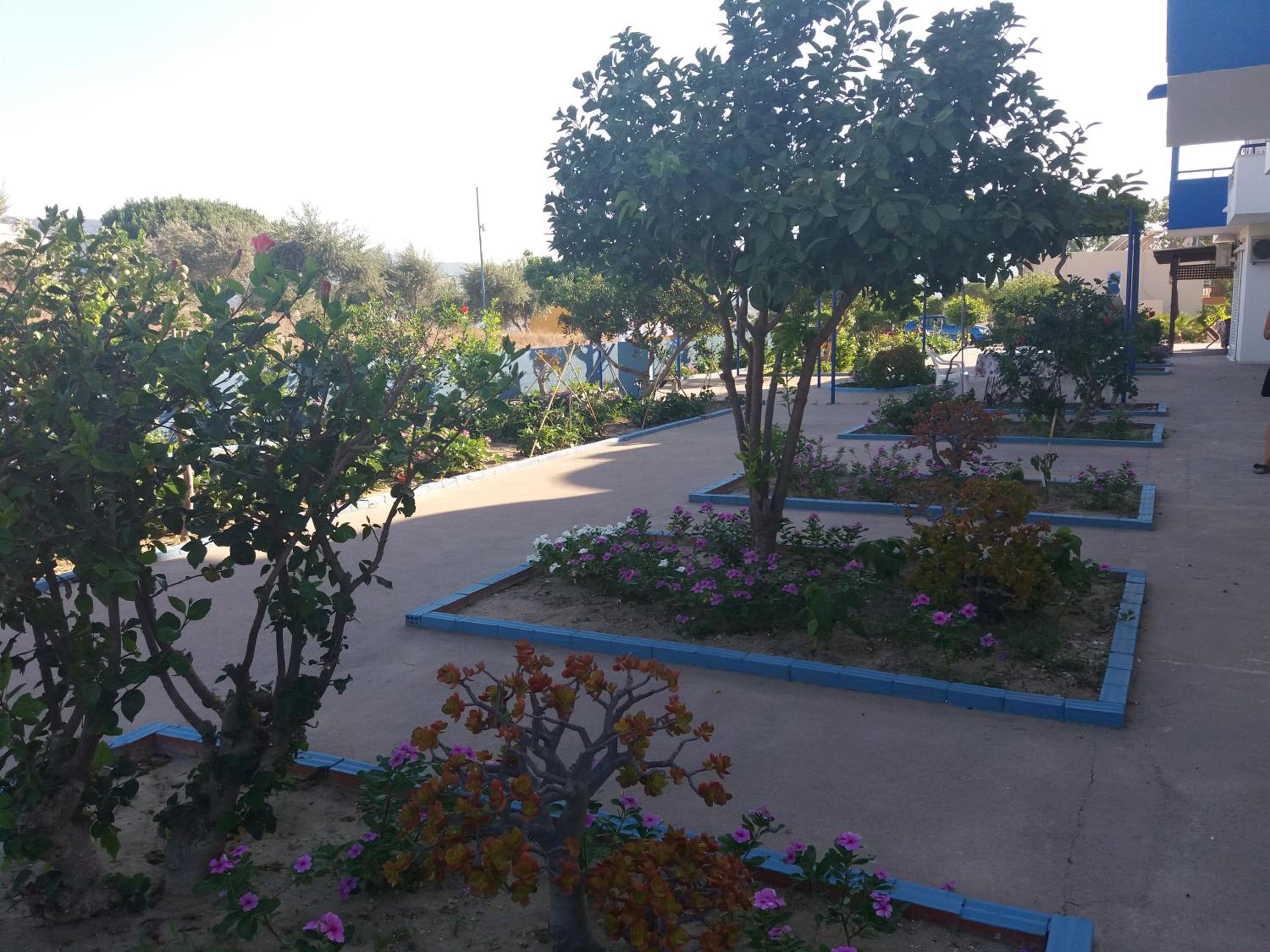 Photo 8
