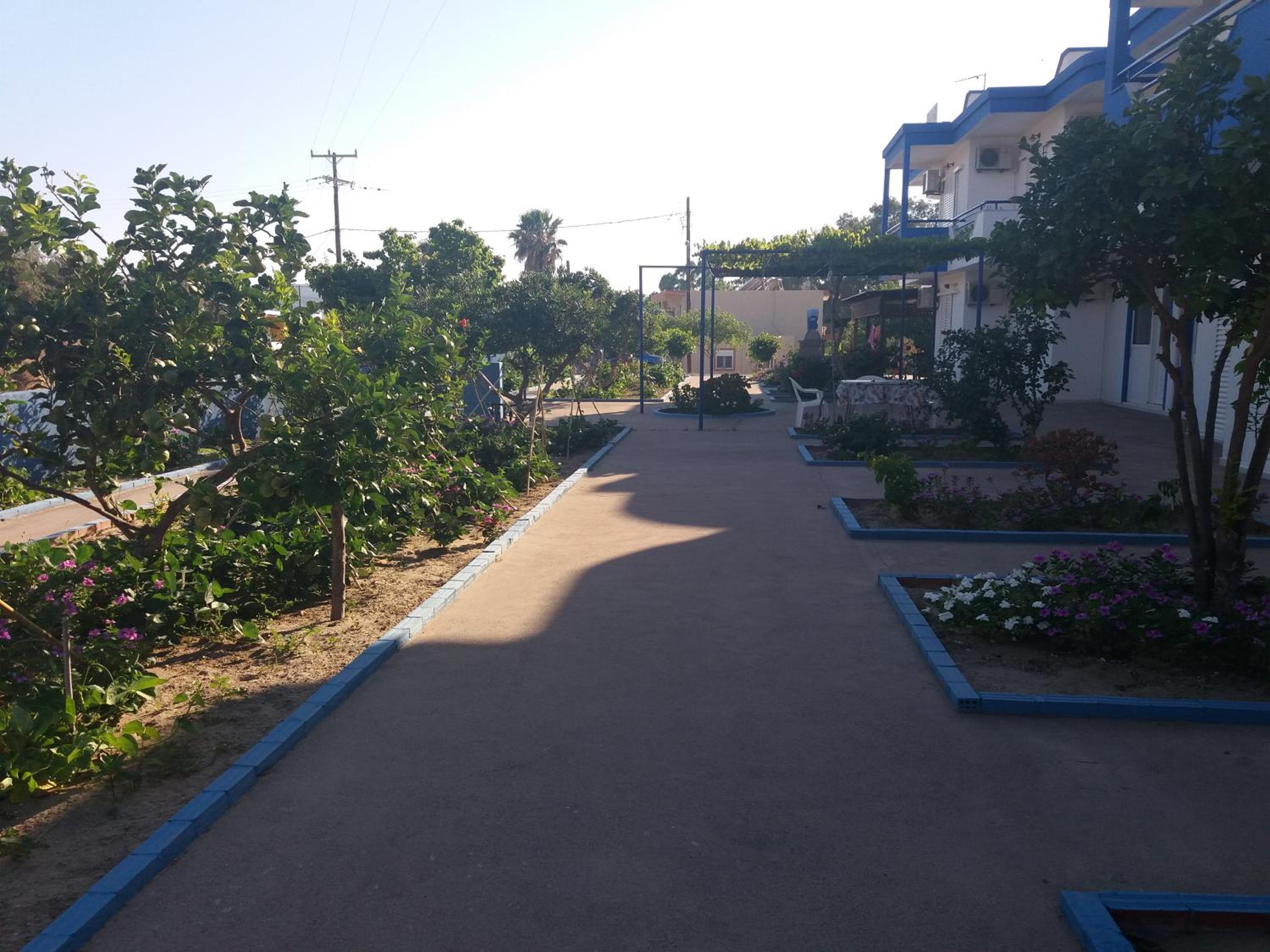 Photo 9
