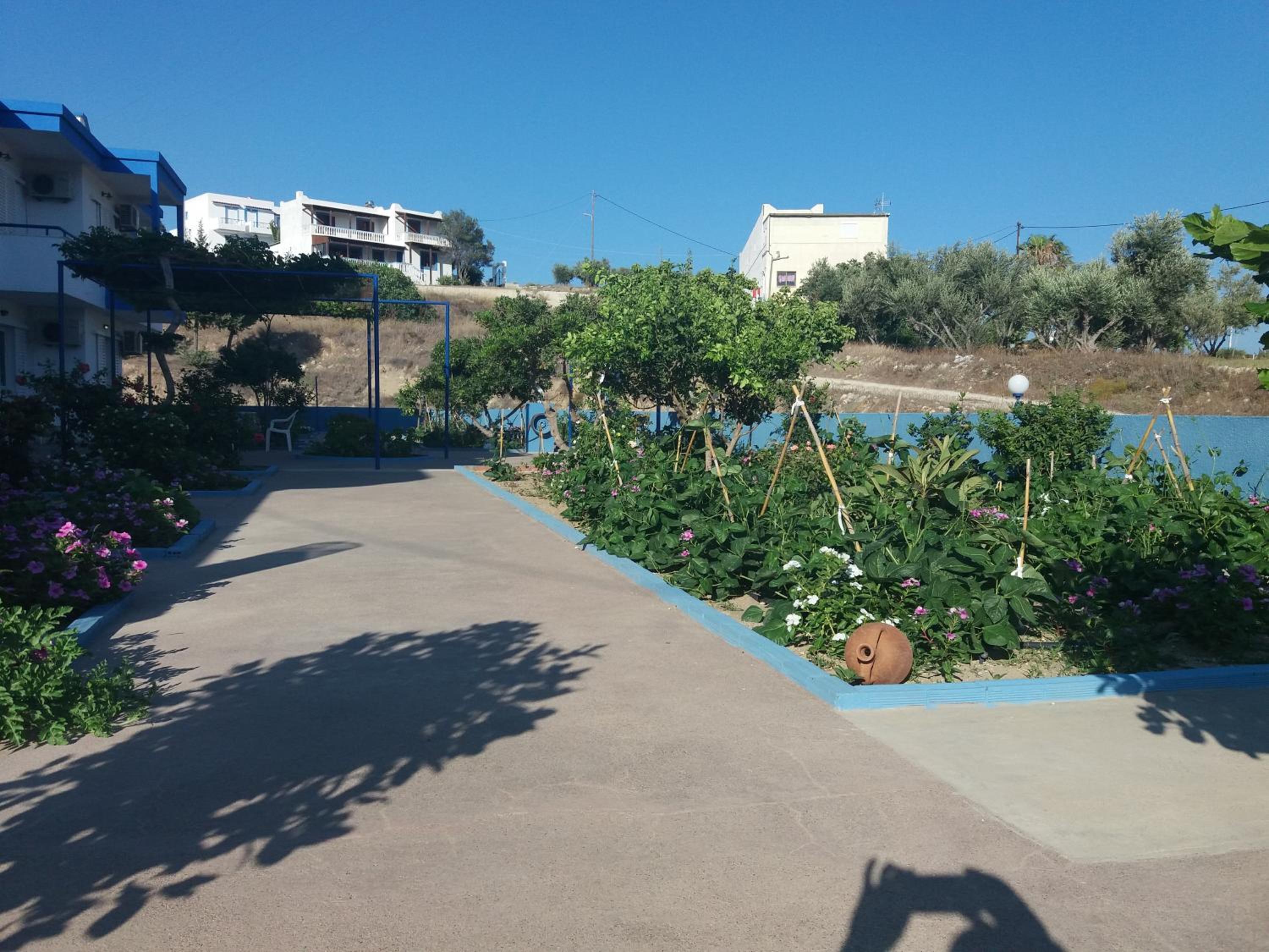 Photo 11